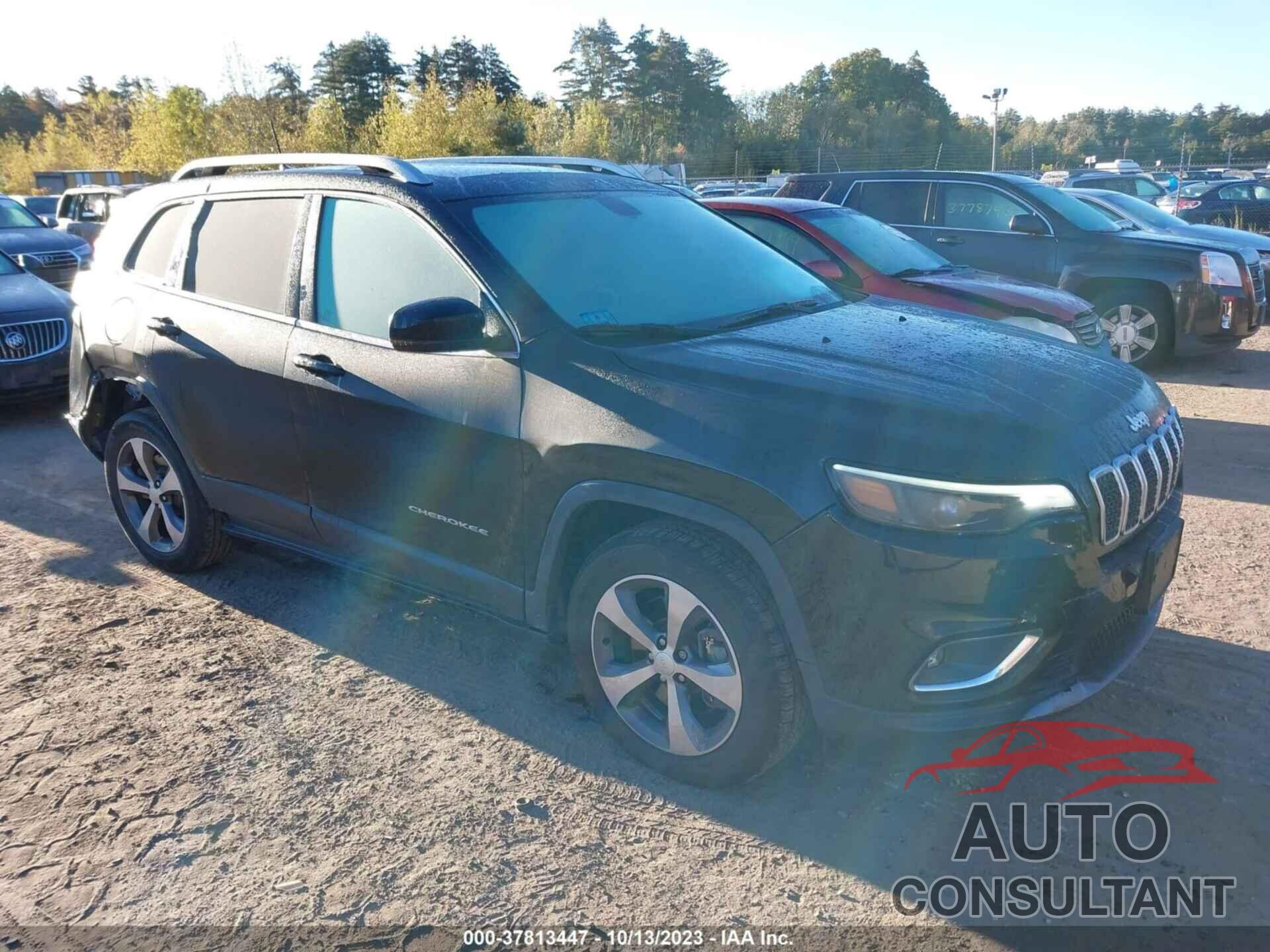 JEEP CHEROKEE 2019 - 1C4PJMDX2KD133395