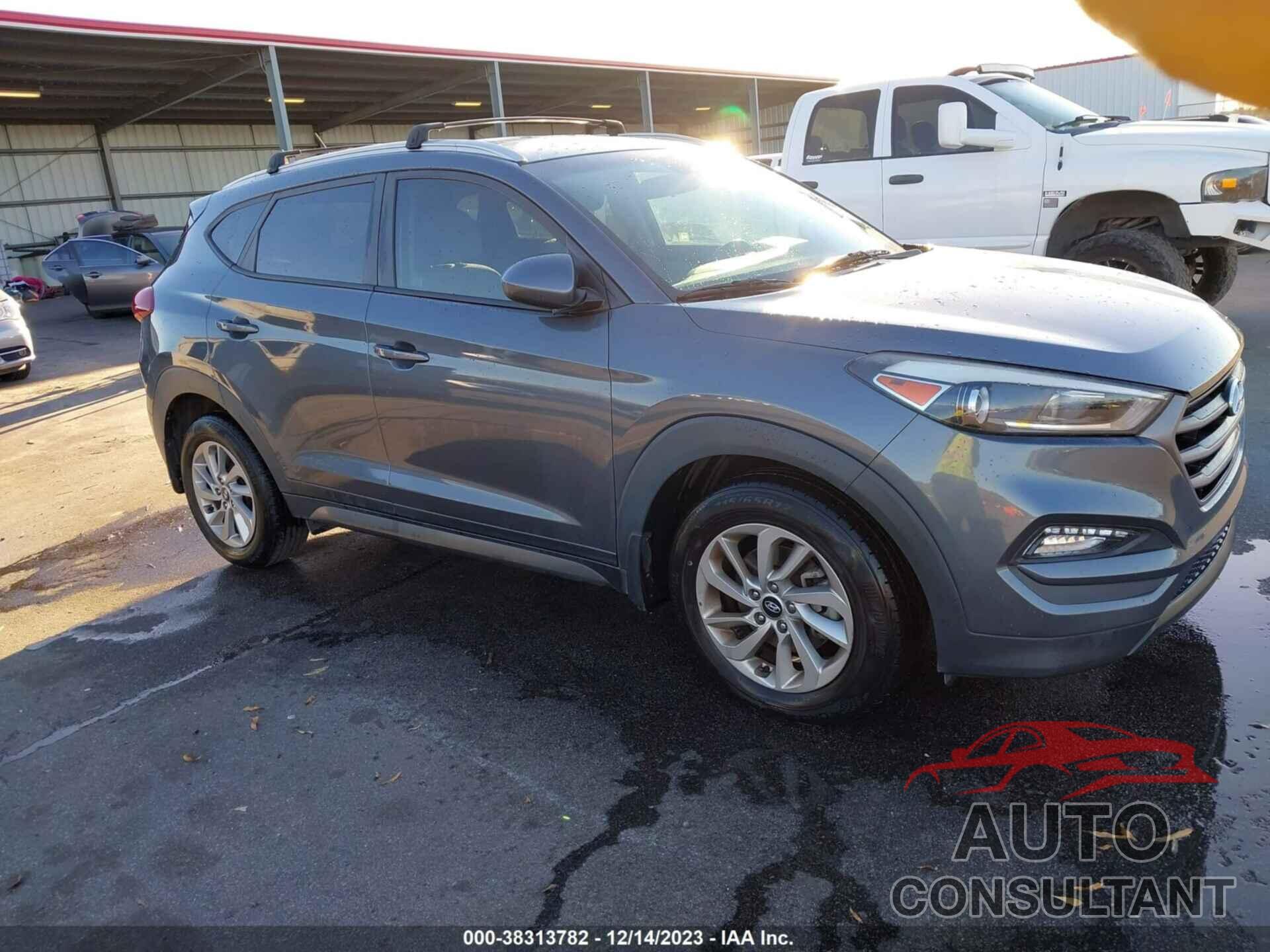 HYUNDAI TUCSON 2016 - KM8J33A48GU237915