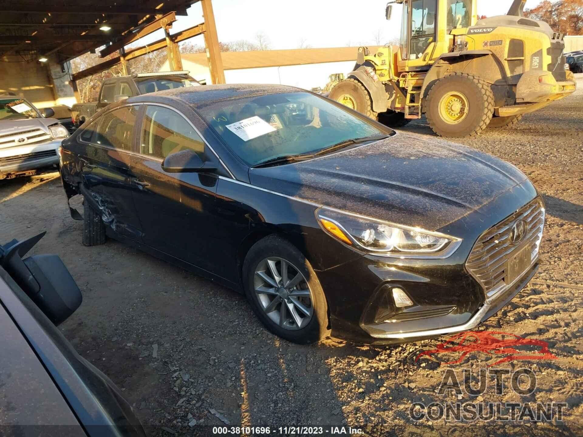 HYUNDAI SONATA 2019 - 5NPE24AF4KH794243