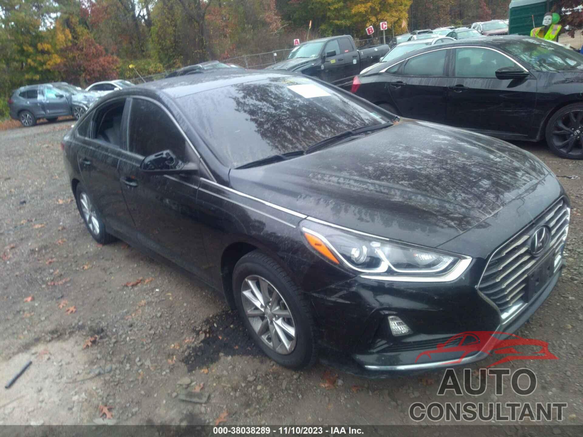 HYUNDAI SONATA 2019 - 5NPE24AF2KH813761