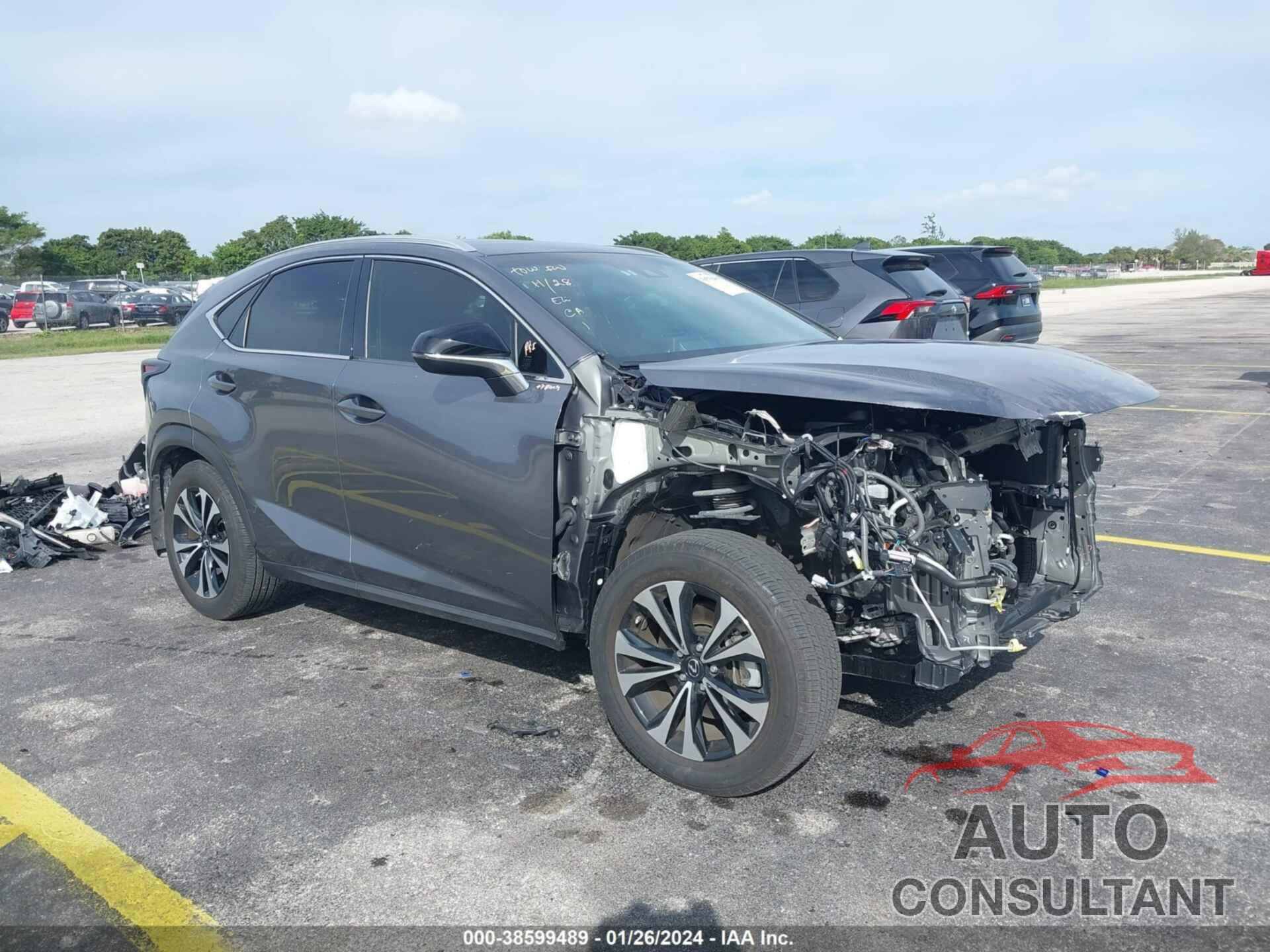 LEXUS NX 300 2019 - JTJBARBZ0K2212357