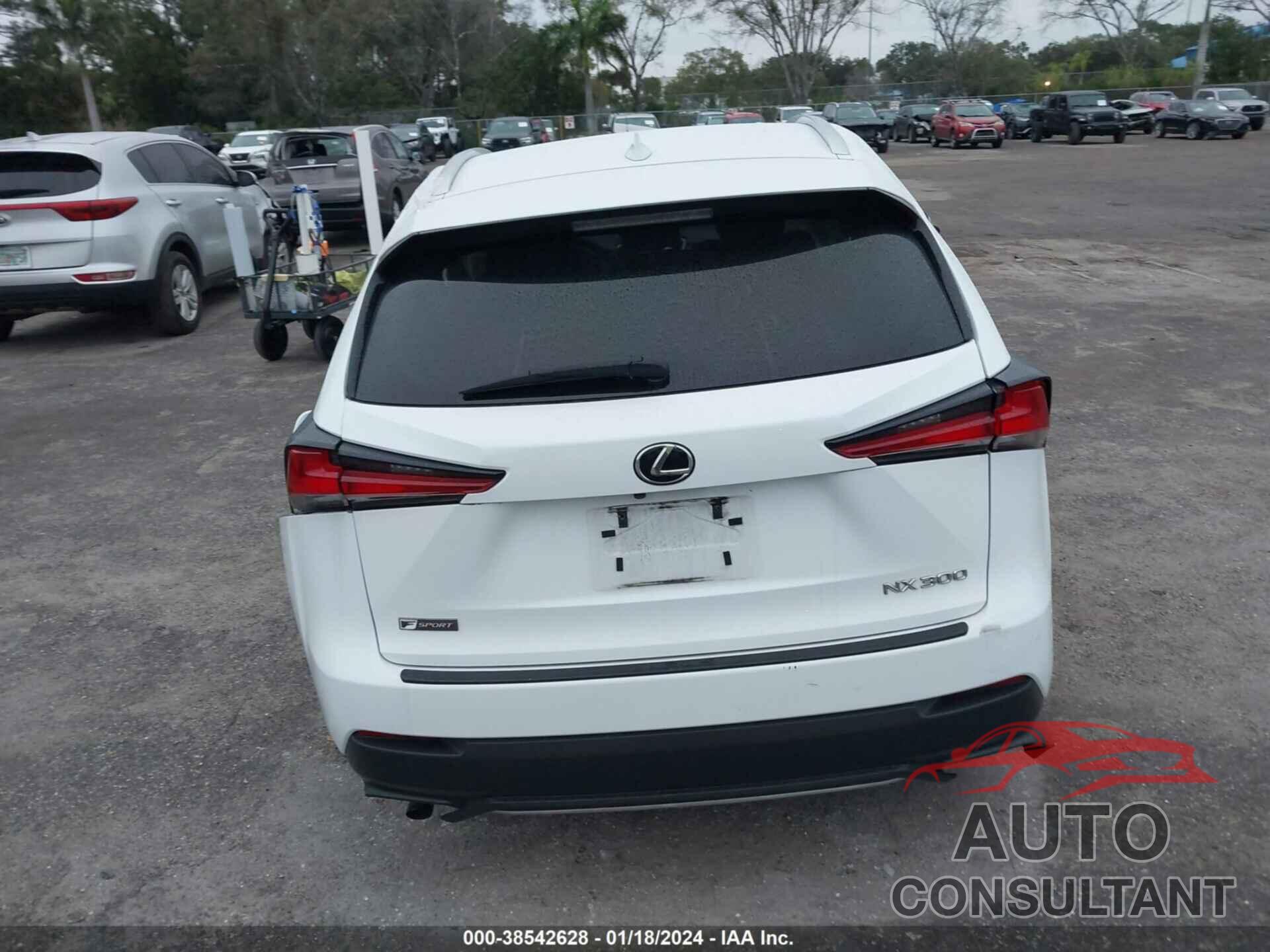 LEXUS NX 2019 - JTJYARBZ2K2117065