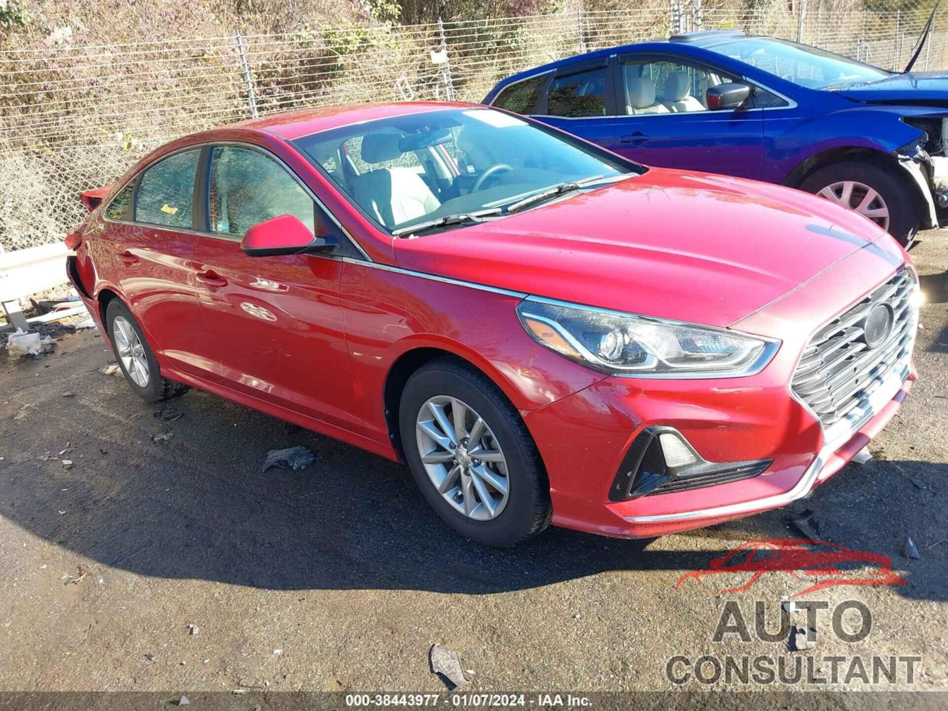 HYUNDAI SONATA 2018 - 5NPE24AF6JH669209
