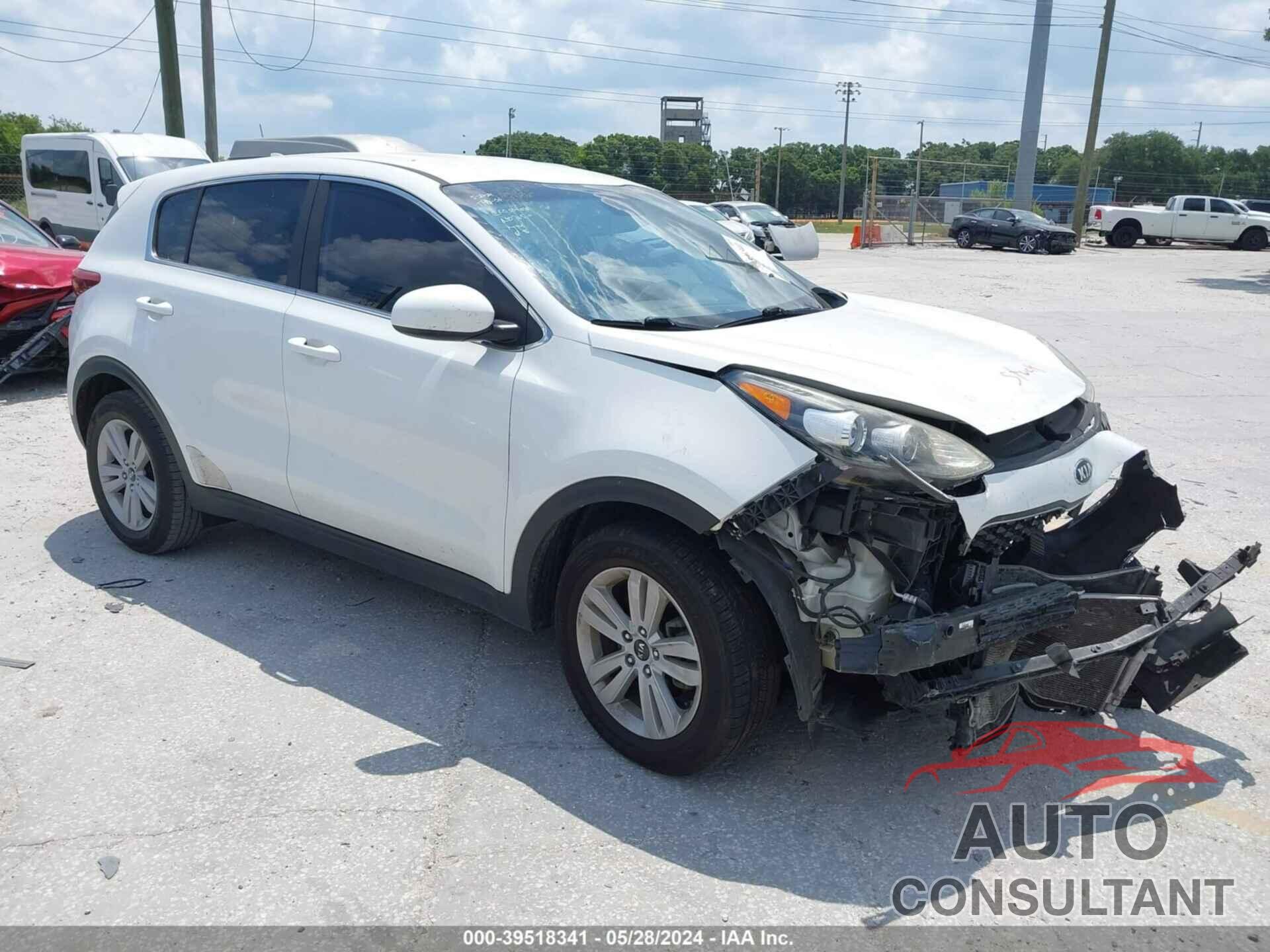 KIA SPORTAGE 2017 - KNDPM3AC6H7280765