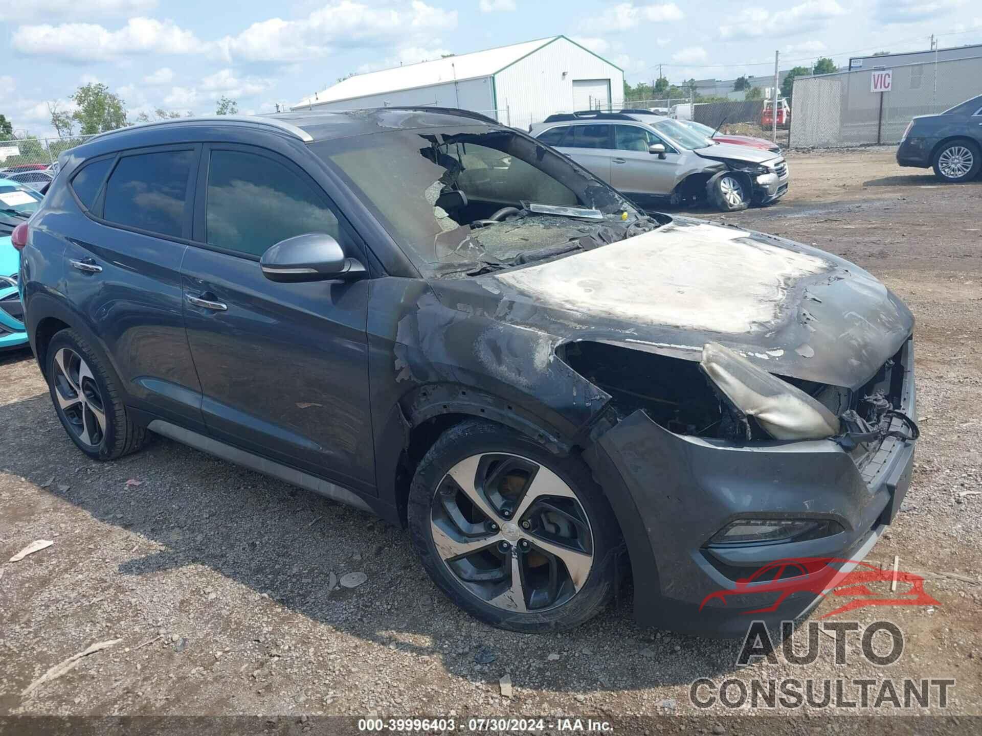 HYUNDAI TUCSON 2017 - KM8J3CA22HU445031