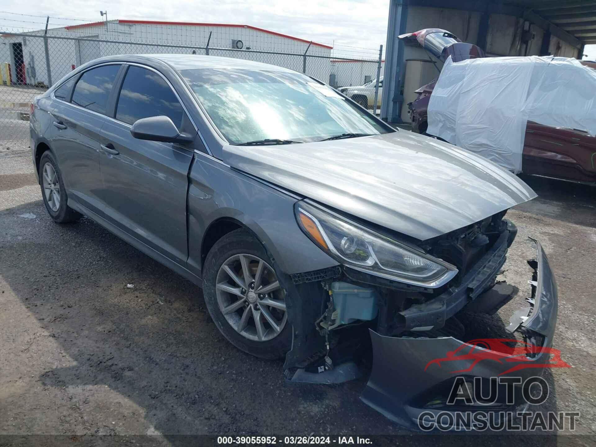 HYUNDAI SONATA 2019 - 5NPE24AFXKH742762