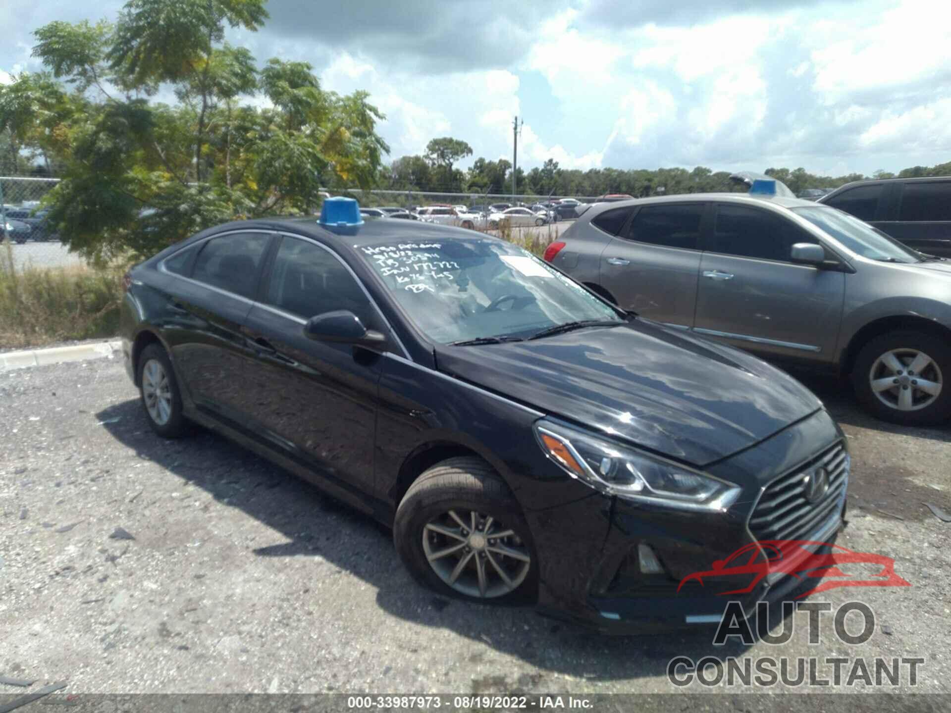 HYUNDAI SONATA 2019 - 5NPE24AF8KH739584