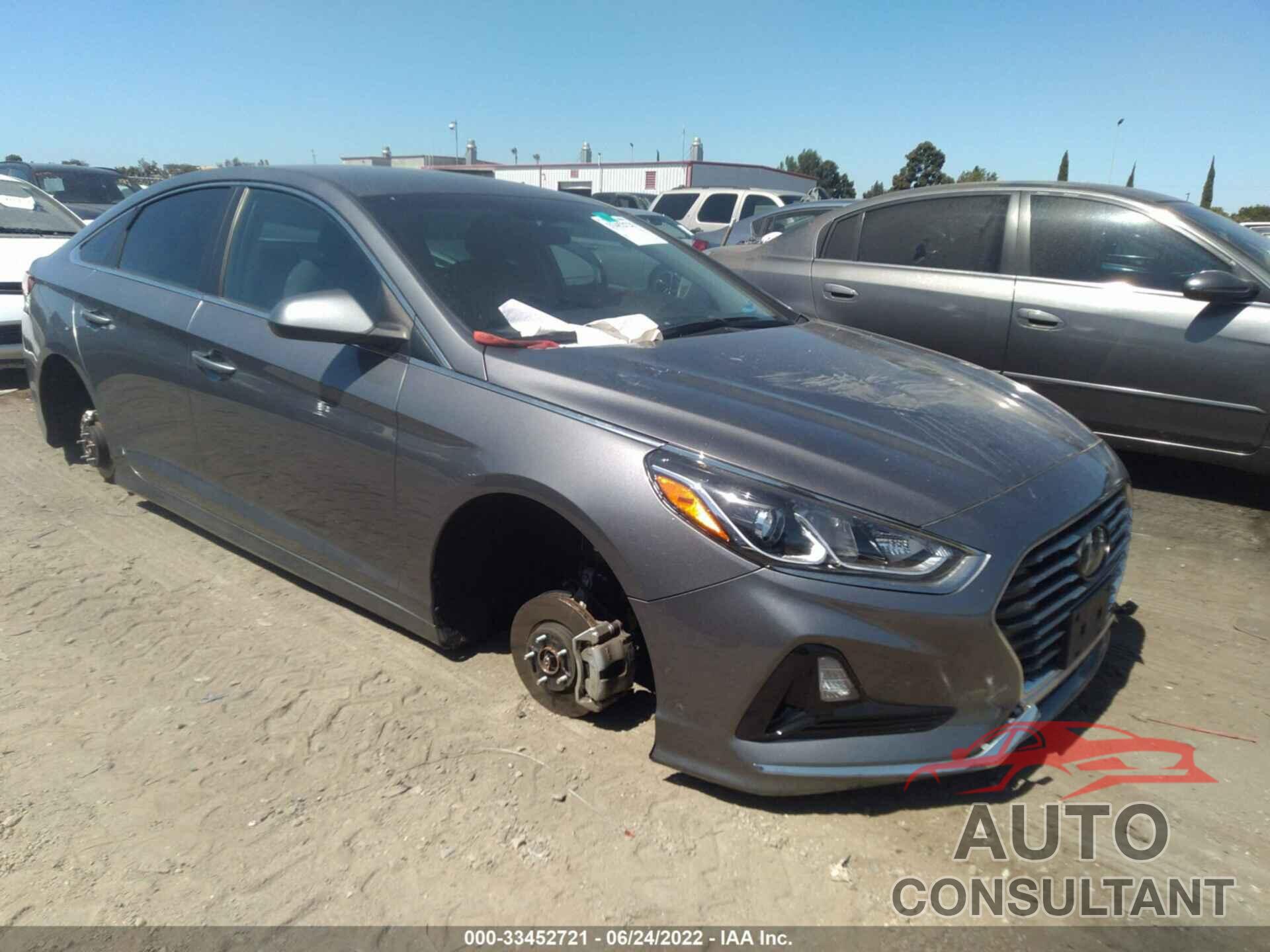 HYUNDAI SONATA 2019 - 5NPE24AF3KH772122