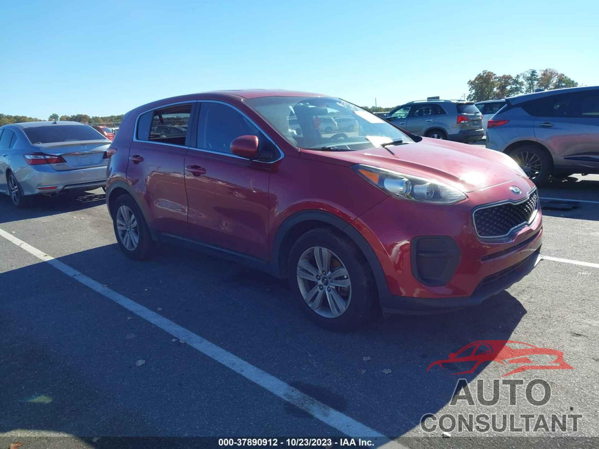 KIA SPORTAGE 2017 - KNDPM3AC9H7038147