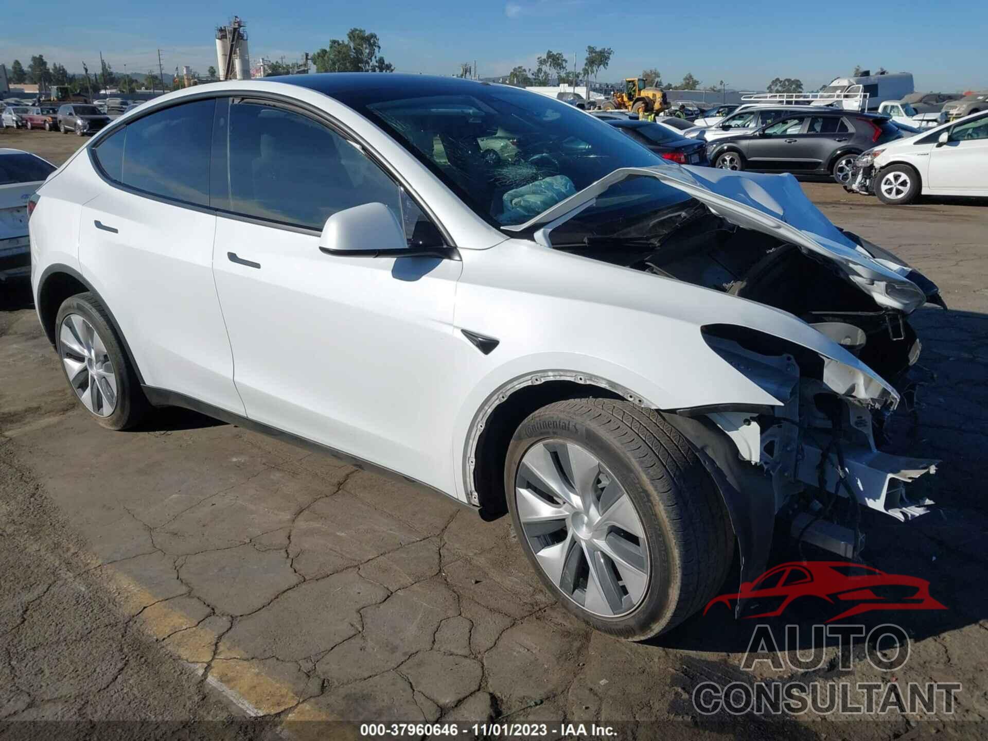 TESLA MODEL Y 2022 - 7SAYGDEE4NF354299
