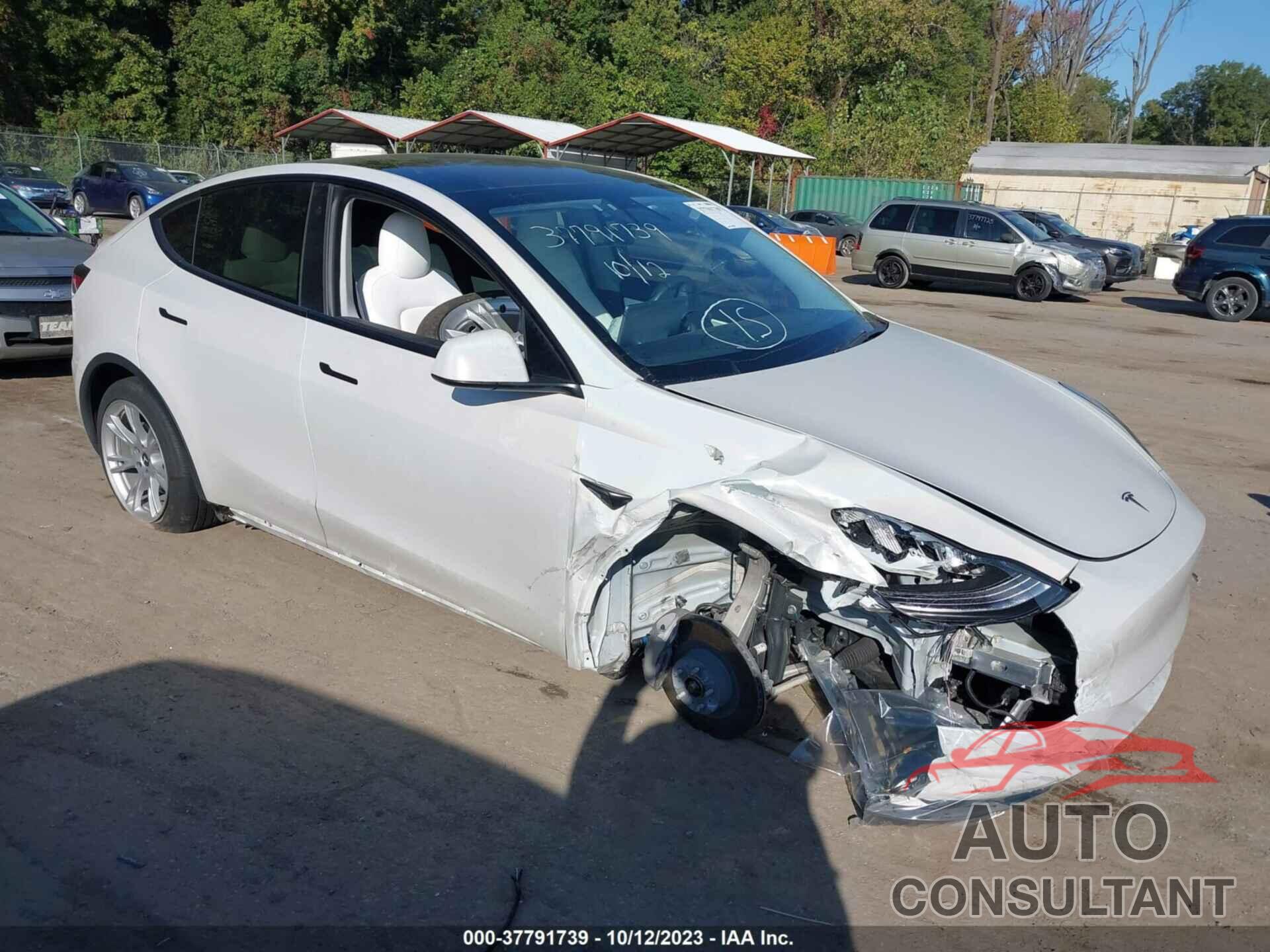 TESLA MODEL Y 2021 - 5YJYGDEE9MF085258