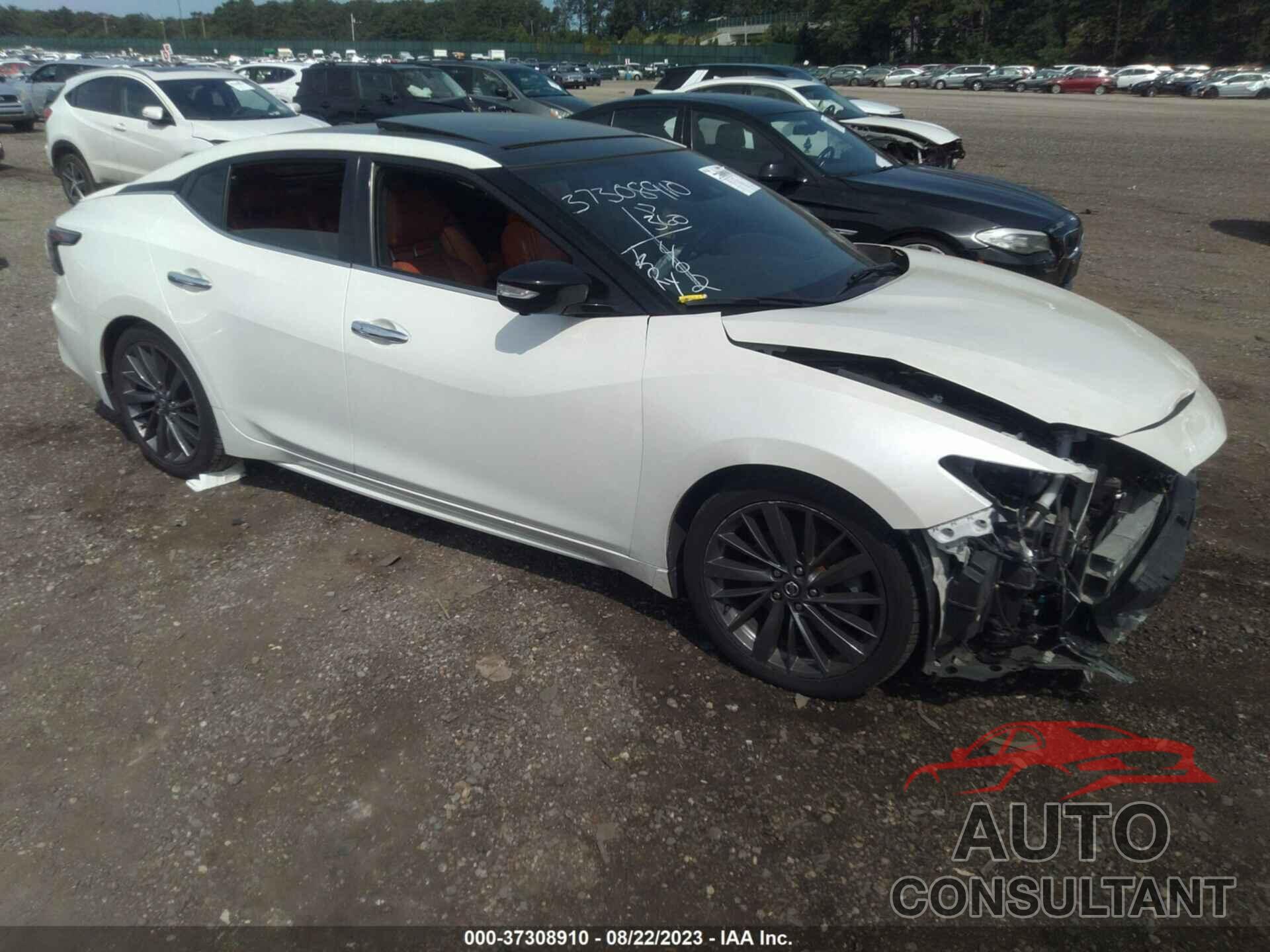 NISSAN MAXIMA 2019 - 1N4AA6AV3KC376827