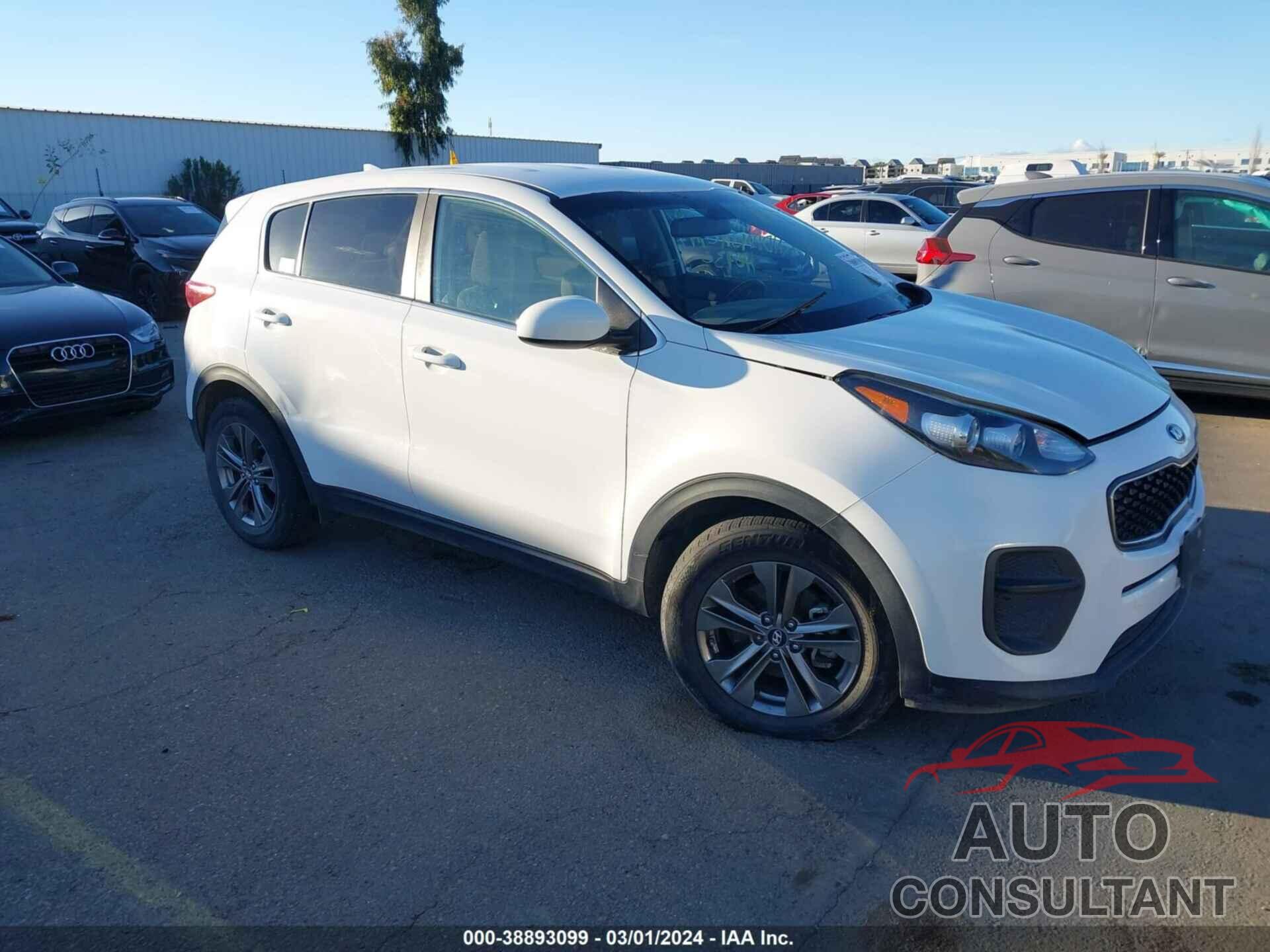 KIA SPORTAGE 2017 - KNDPM3AC4H7170930