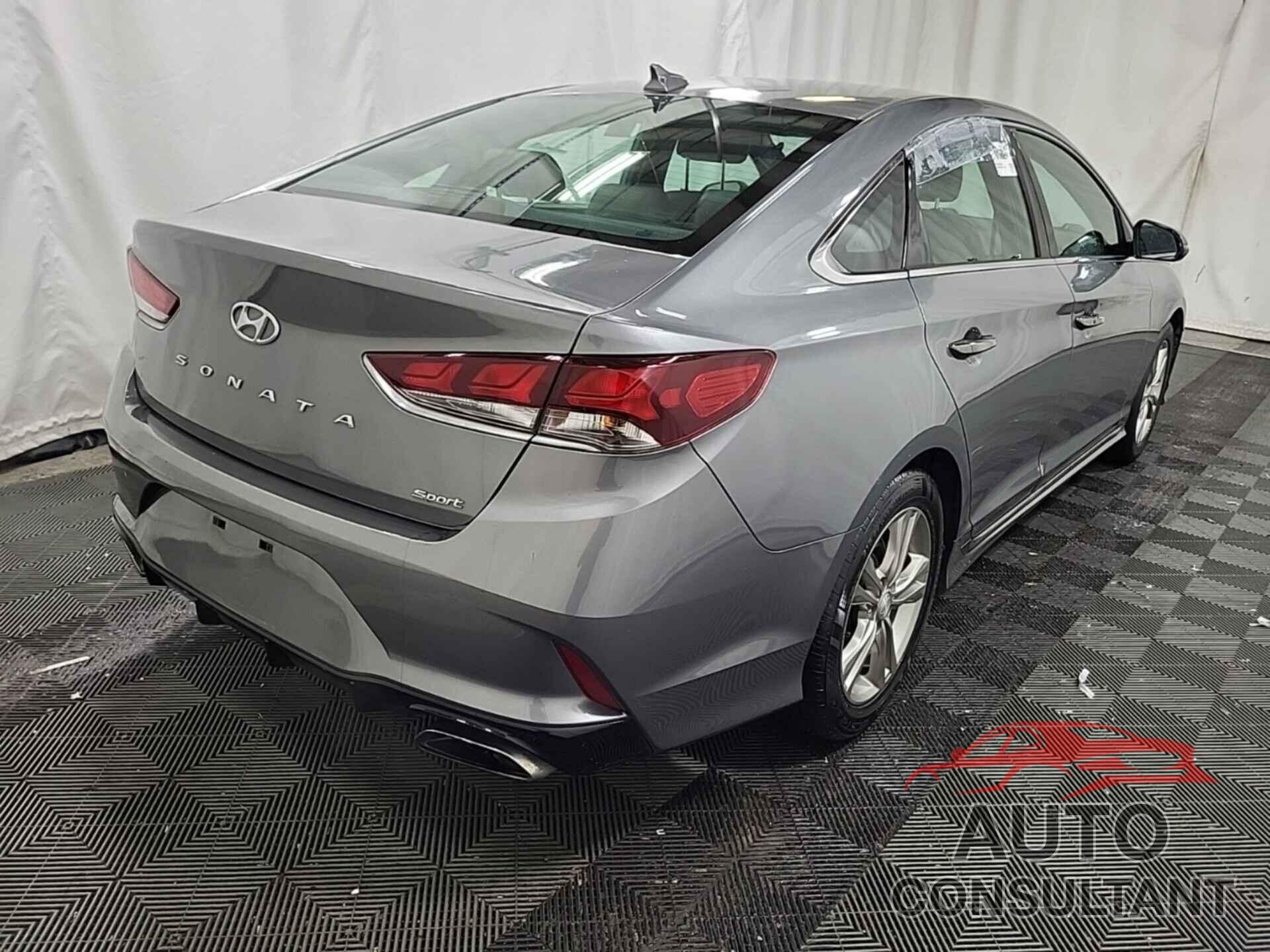 HYUNDAI SONATA 2019 - 5NPE34AF1KH762783