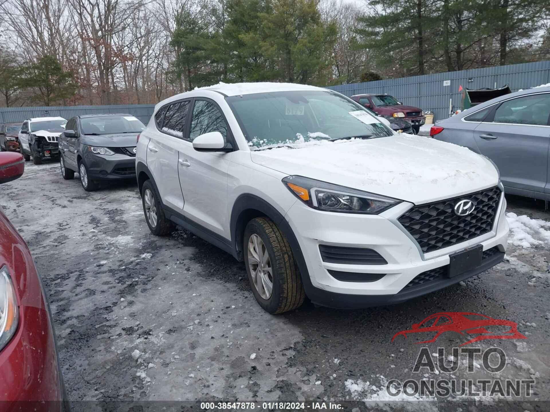 HYUNDAI TUCSON 2019 - KM8J23A42KU964902