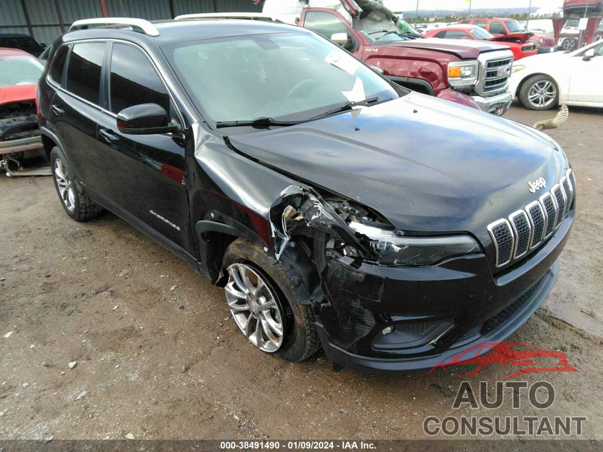 JEEP CHEROKEE 2019 - 1C4PJLLX7KD111355