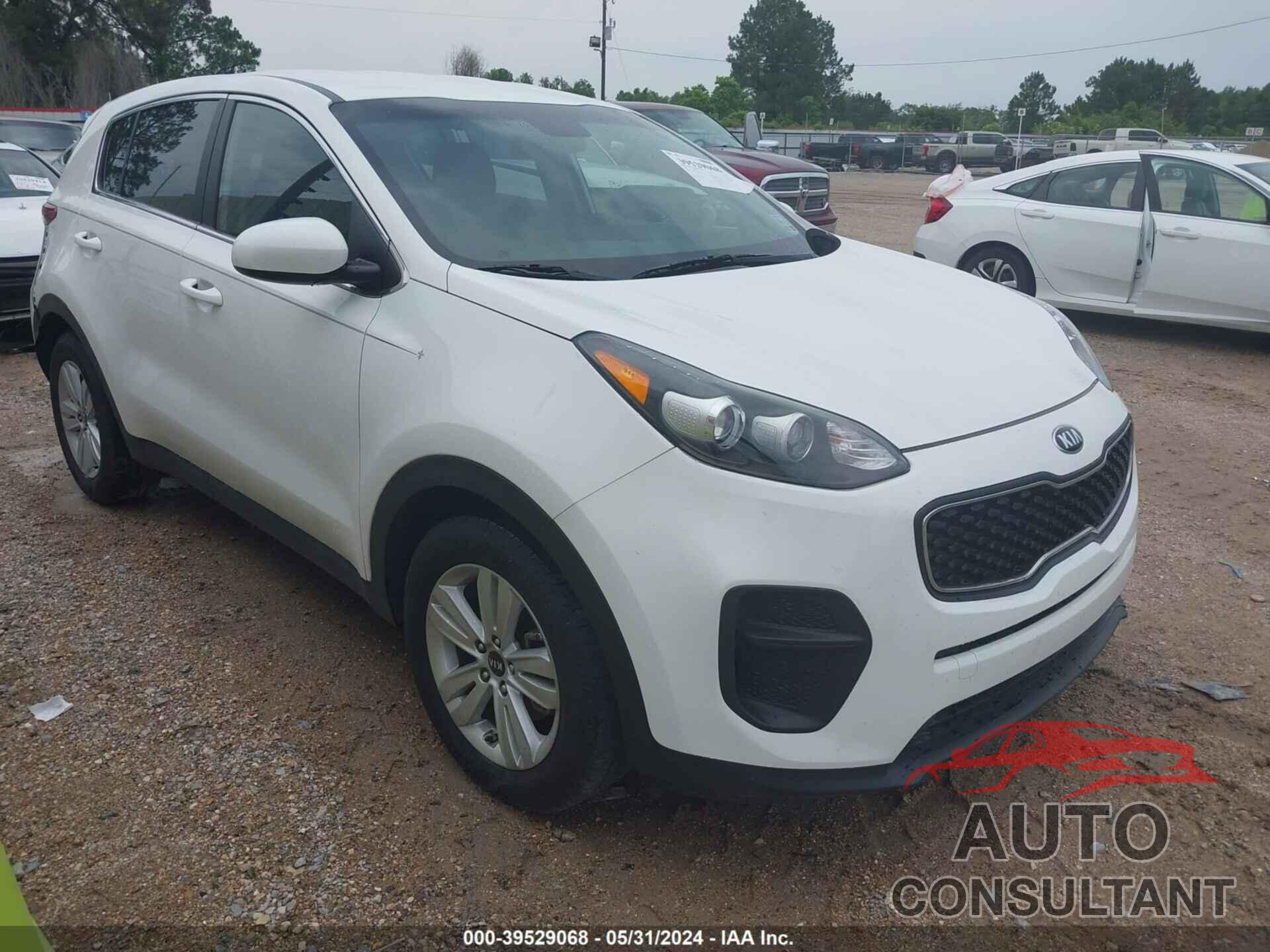 KIA SPORTAGE 2019 - KNDPM3AC5K7617420