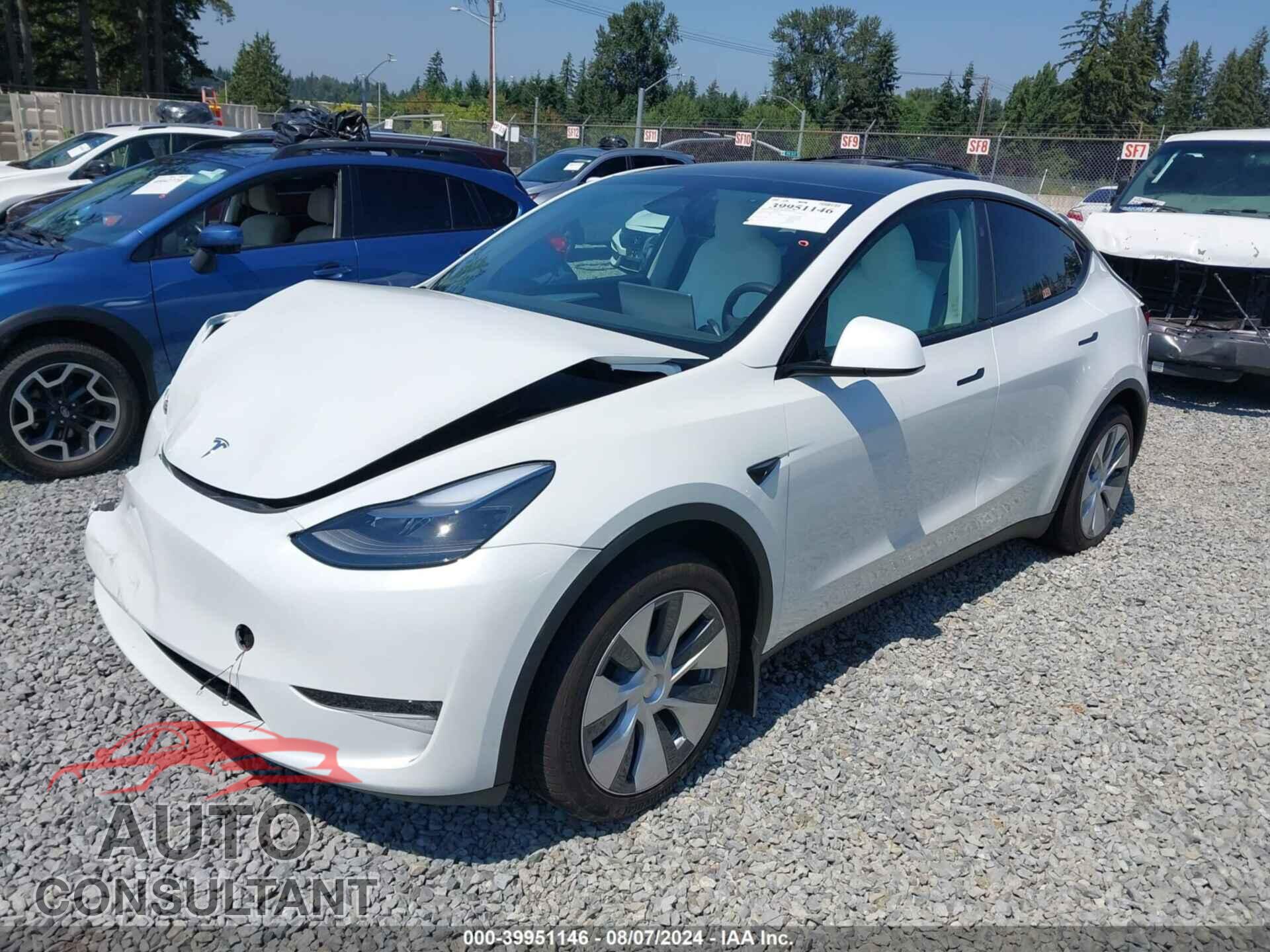 TESLA MODEL Y 2024 - 7SAYGAEE5RF077456