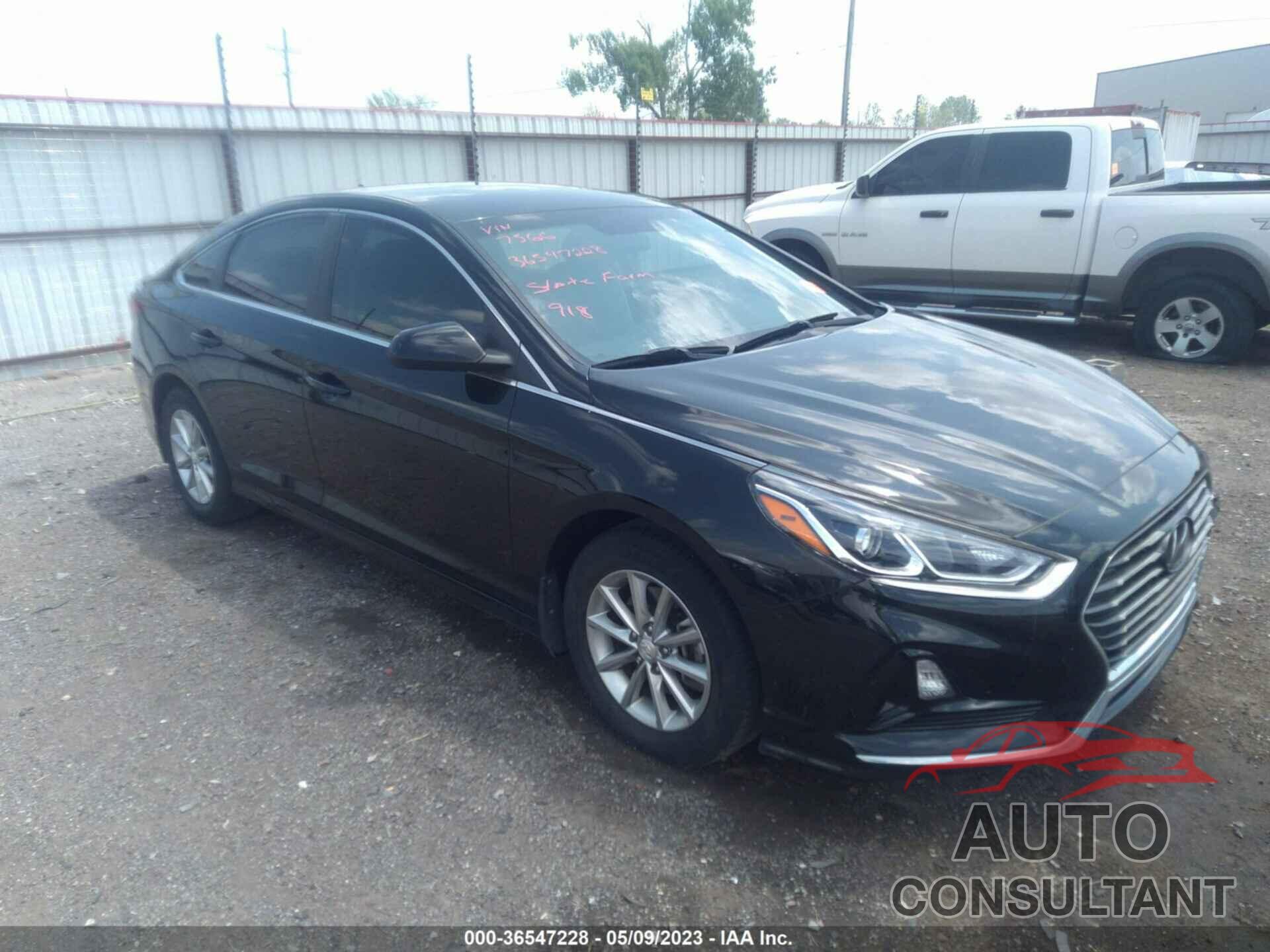 HYUNDAI SONATA 2019 - 5NPE24AF7KH807566