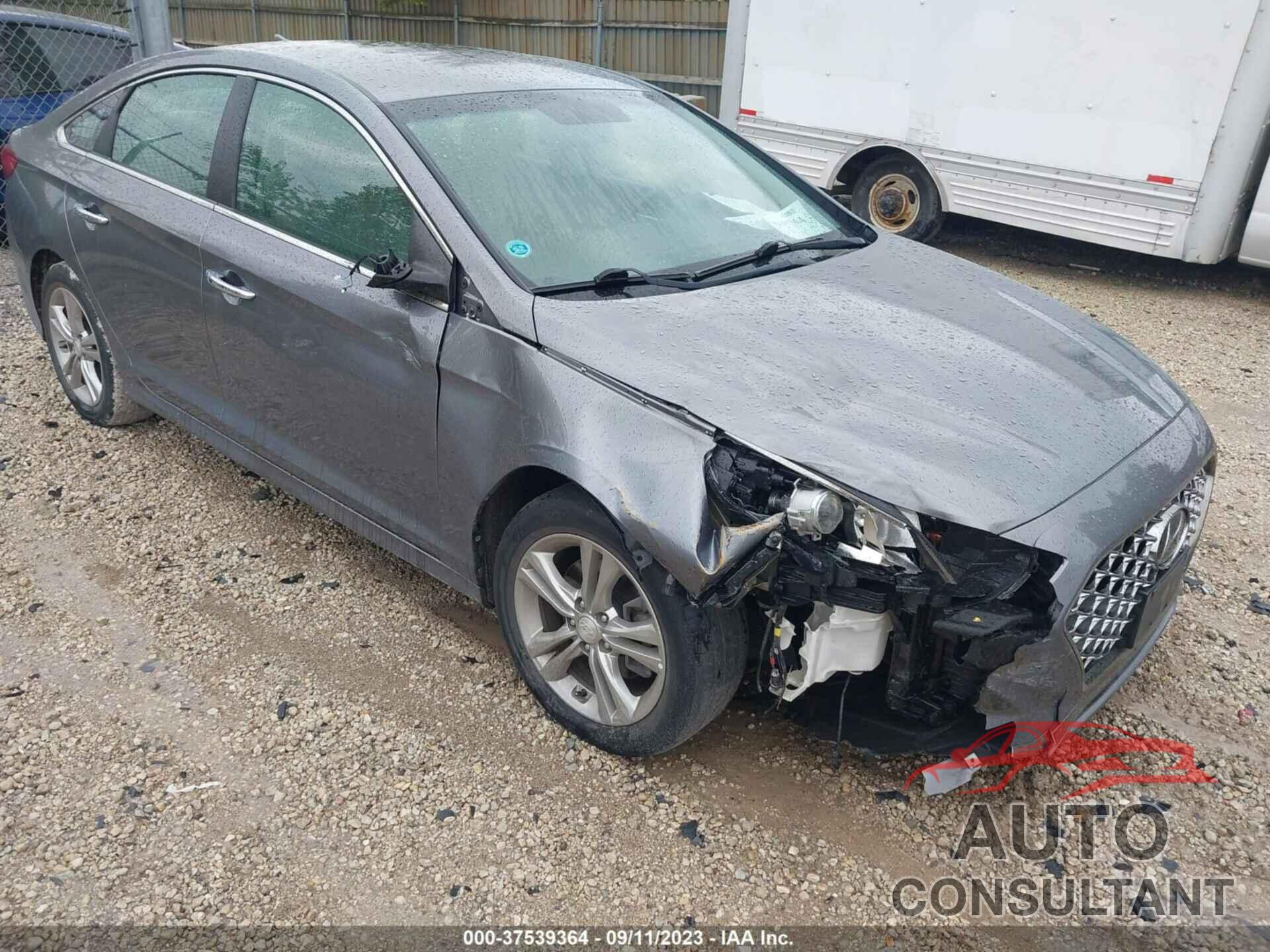 HYUNDAI SONATA 2019 - 5NPE34AF2KH774215