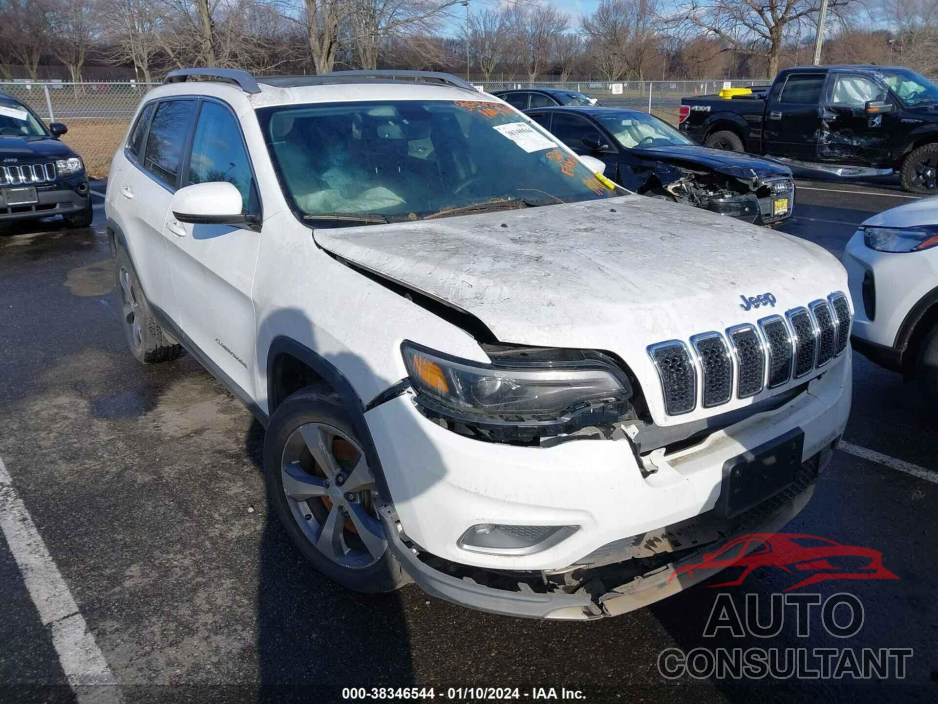 JEEP CHEROKEE 2019 - 1C4PJMDN4KD158393