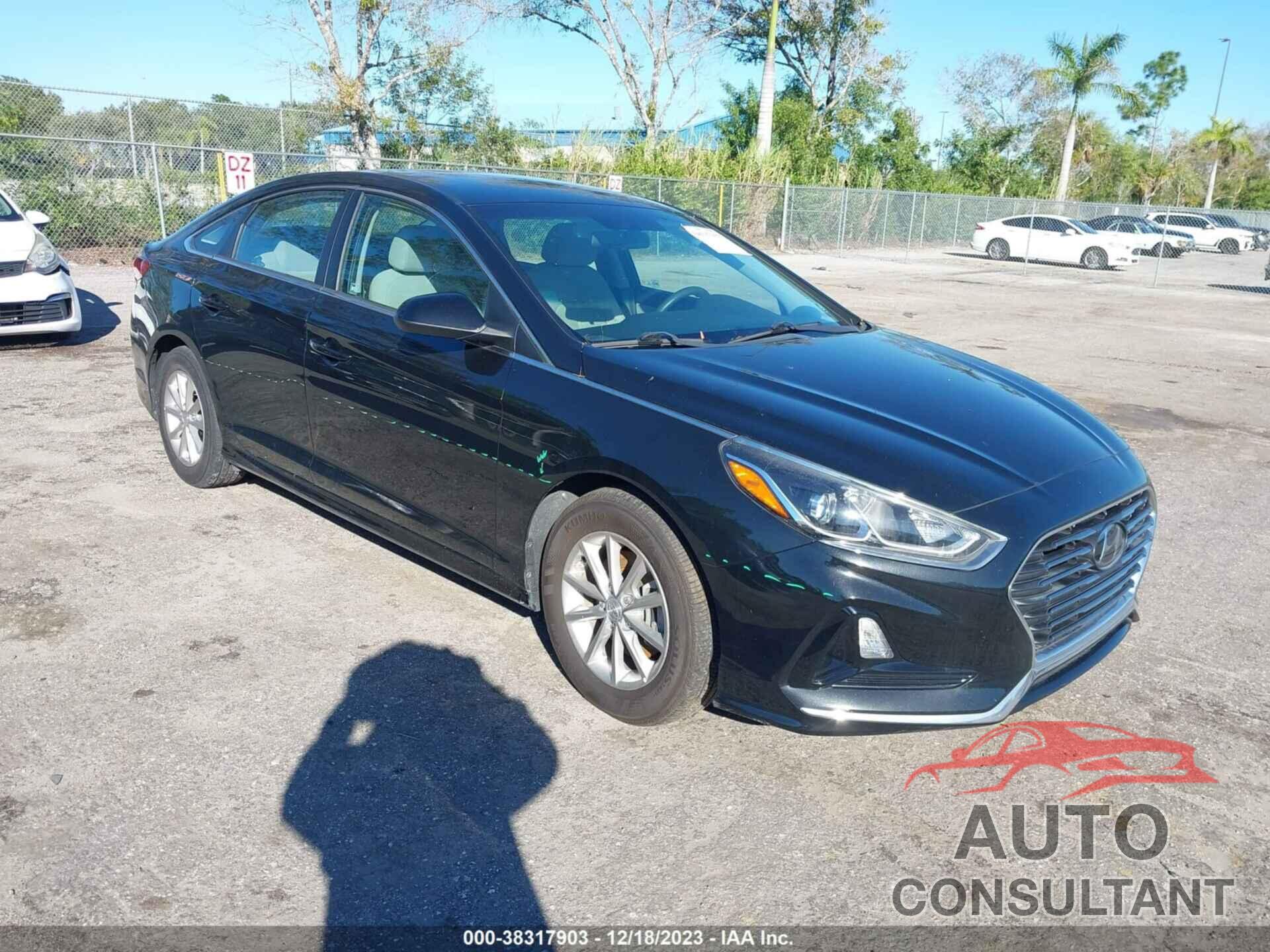 HYUNDAI SONATA 2019 - 5NPE24AF9KH810470