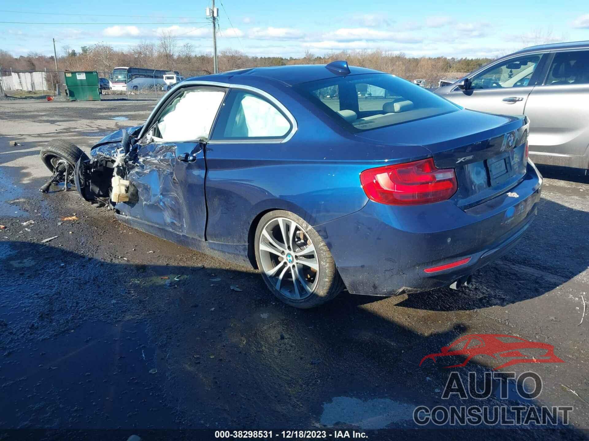 BMW 228I 2016 - WBA1G9C58GV599509