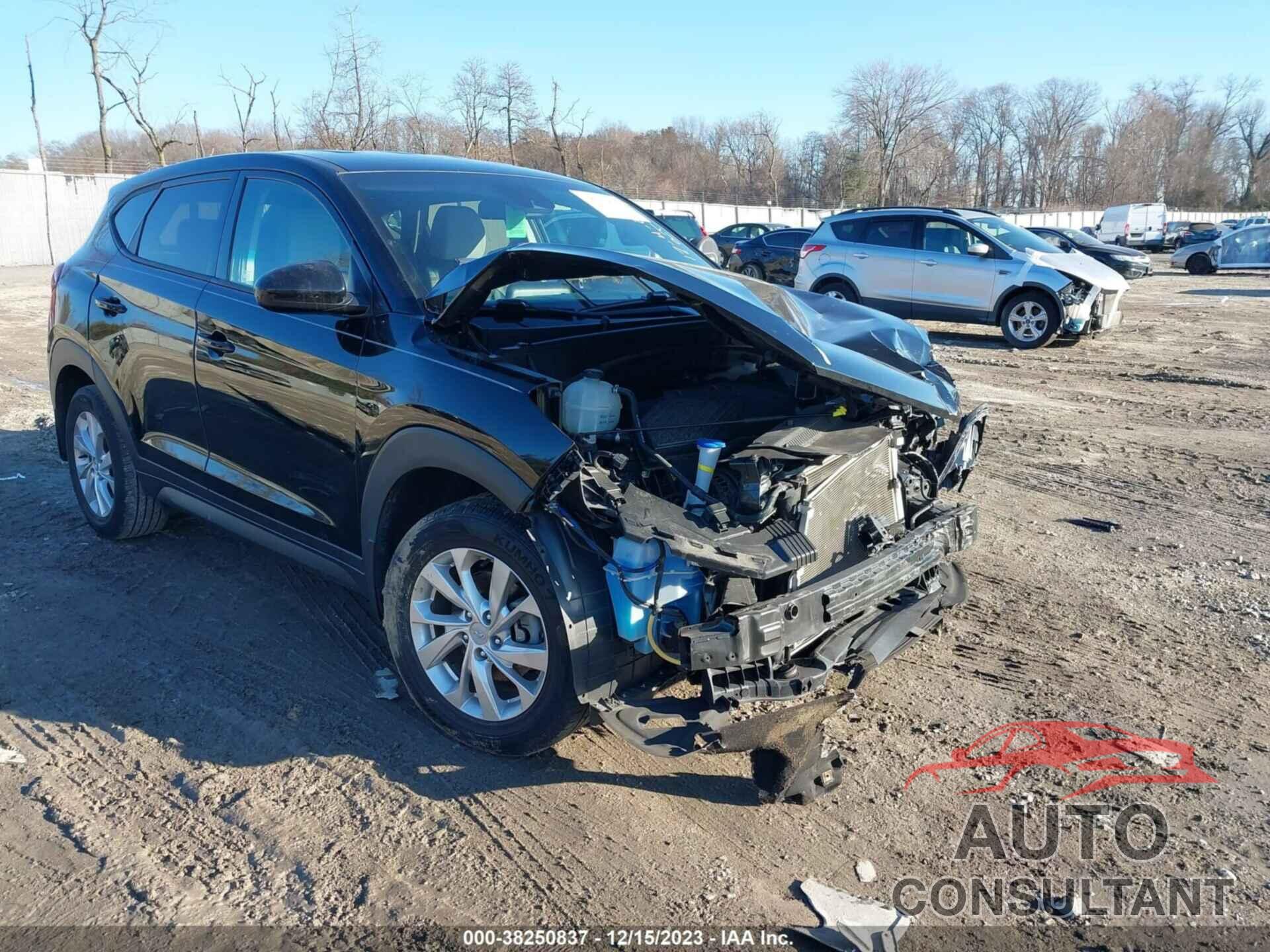 HYUNDAI TUCSON 2019 - KM8J23A49KU905264