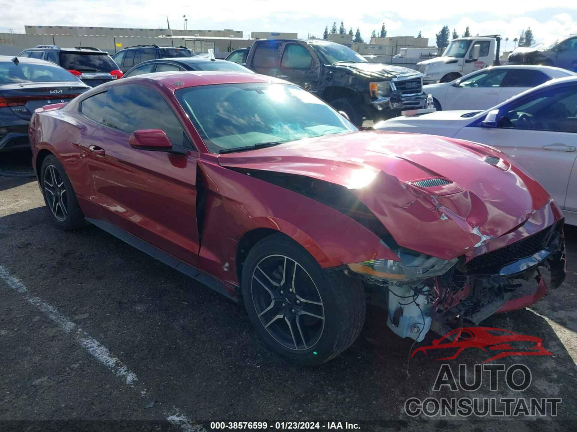 FORD MUSTANG 2019 - 1FA6P8TH2K5186142