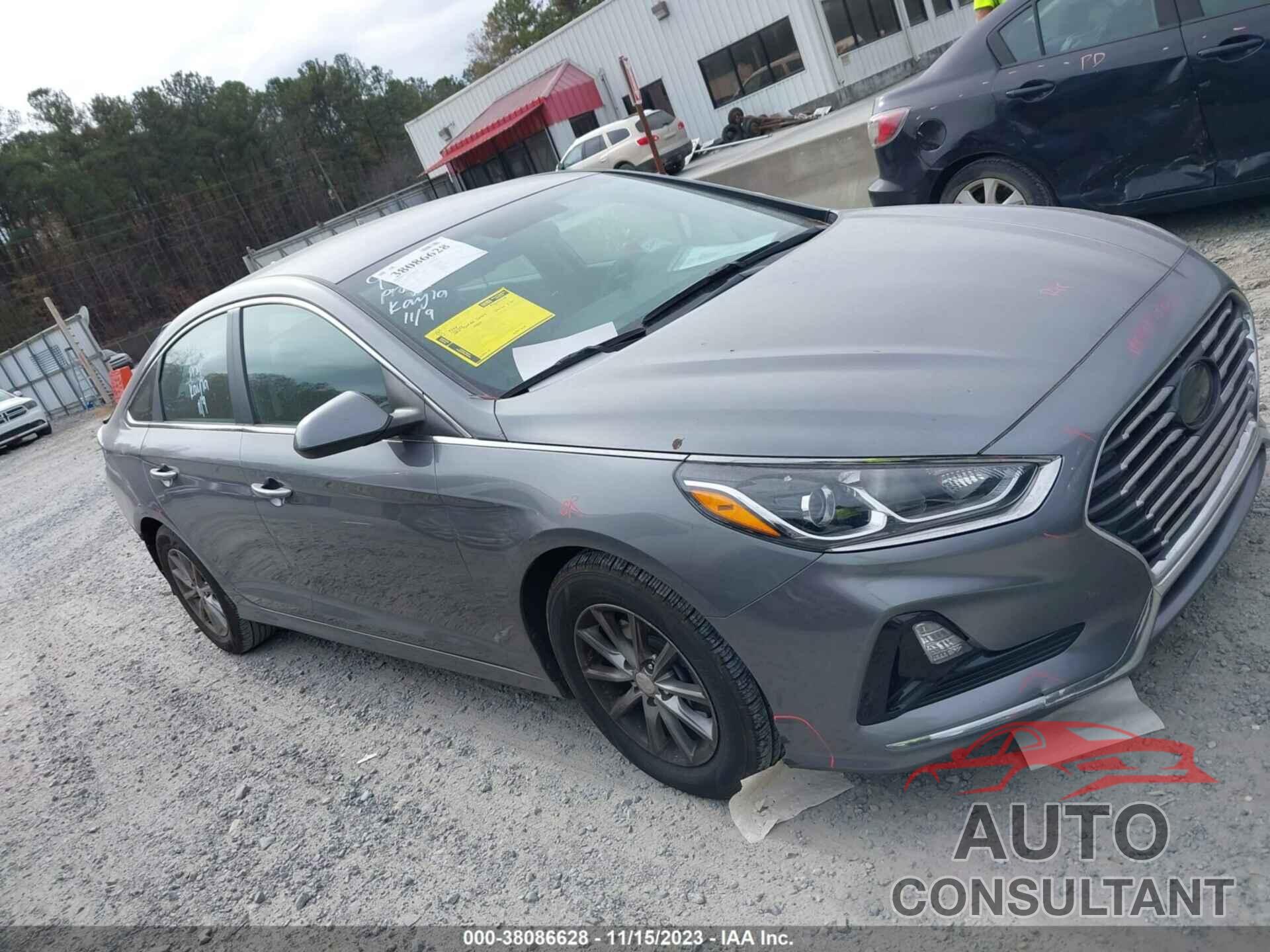 HYUNDAI SONATA 2019 - 5NPE24AF6KH747523