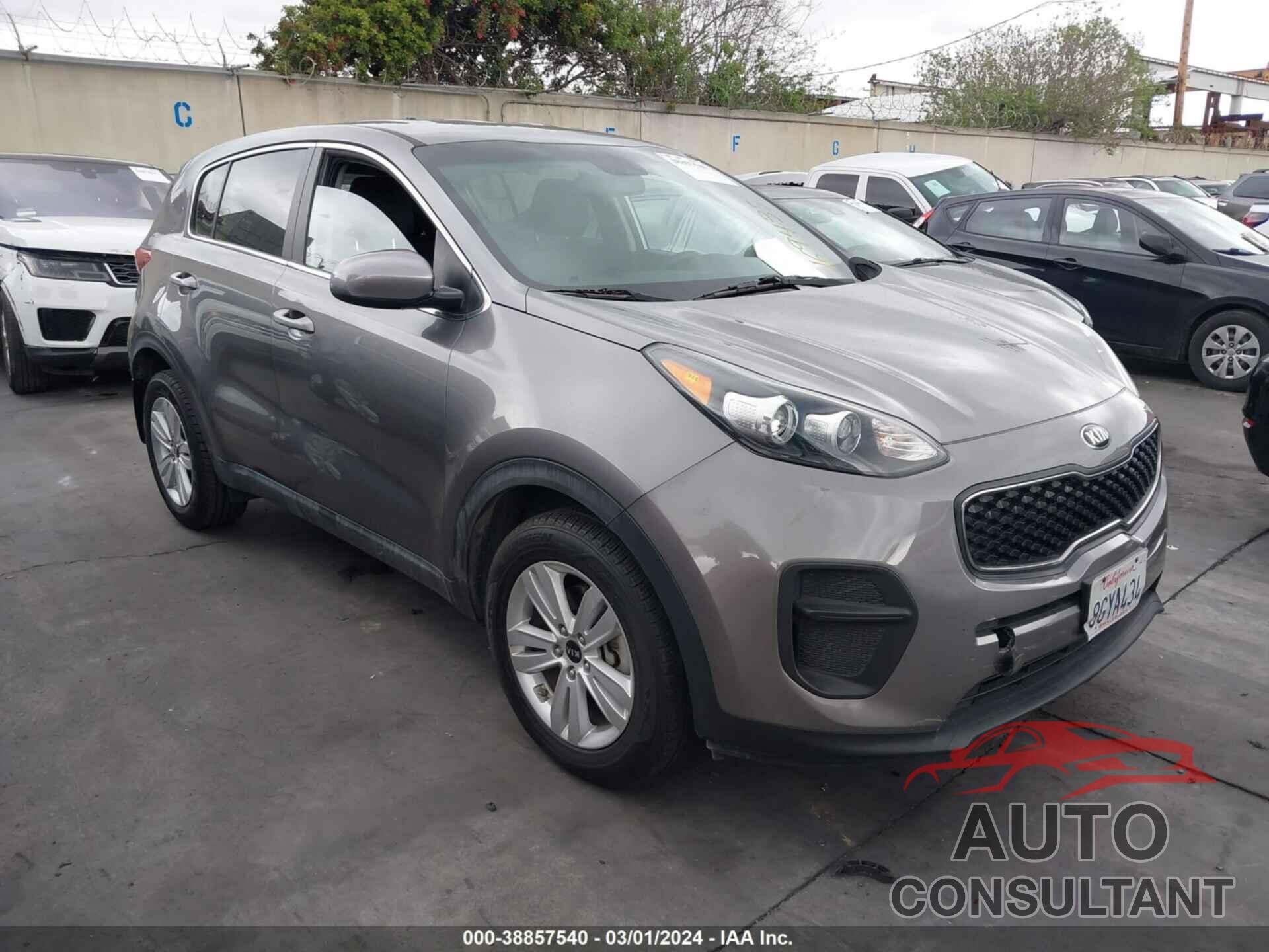 KIA SPORTAGE 2019 - KNDPM3ACXK7559398