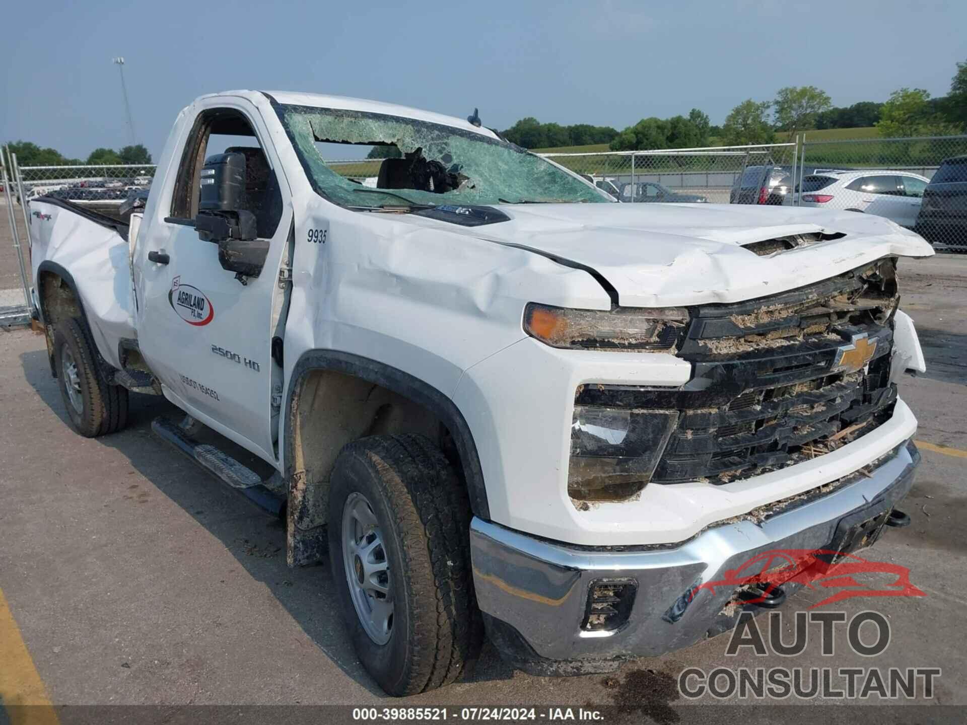 CHEVROLET SILVERADO 2024 - 1GC0YLE76RF307618