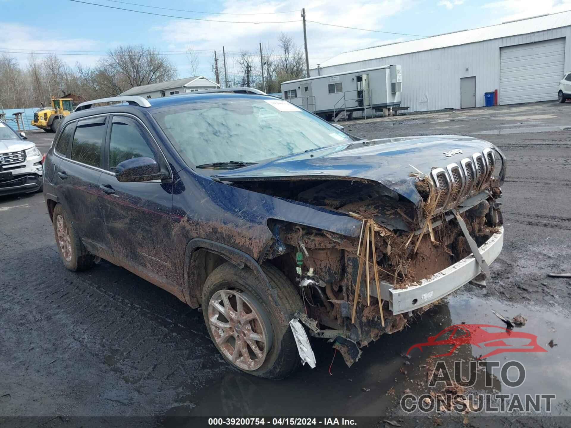 JEEP CHEROKEE 2016 - 1C4PJMCBXGW251857