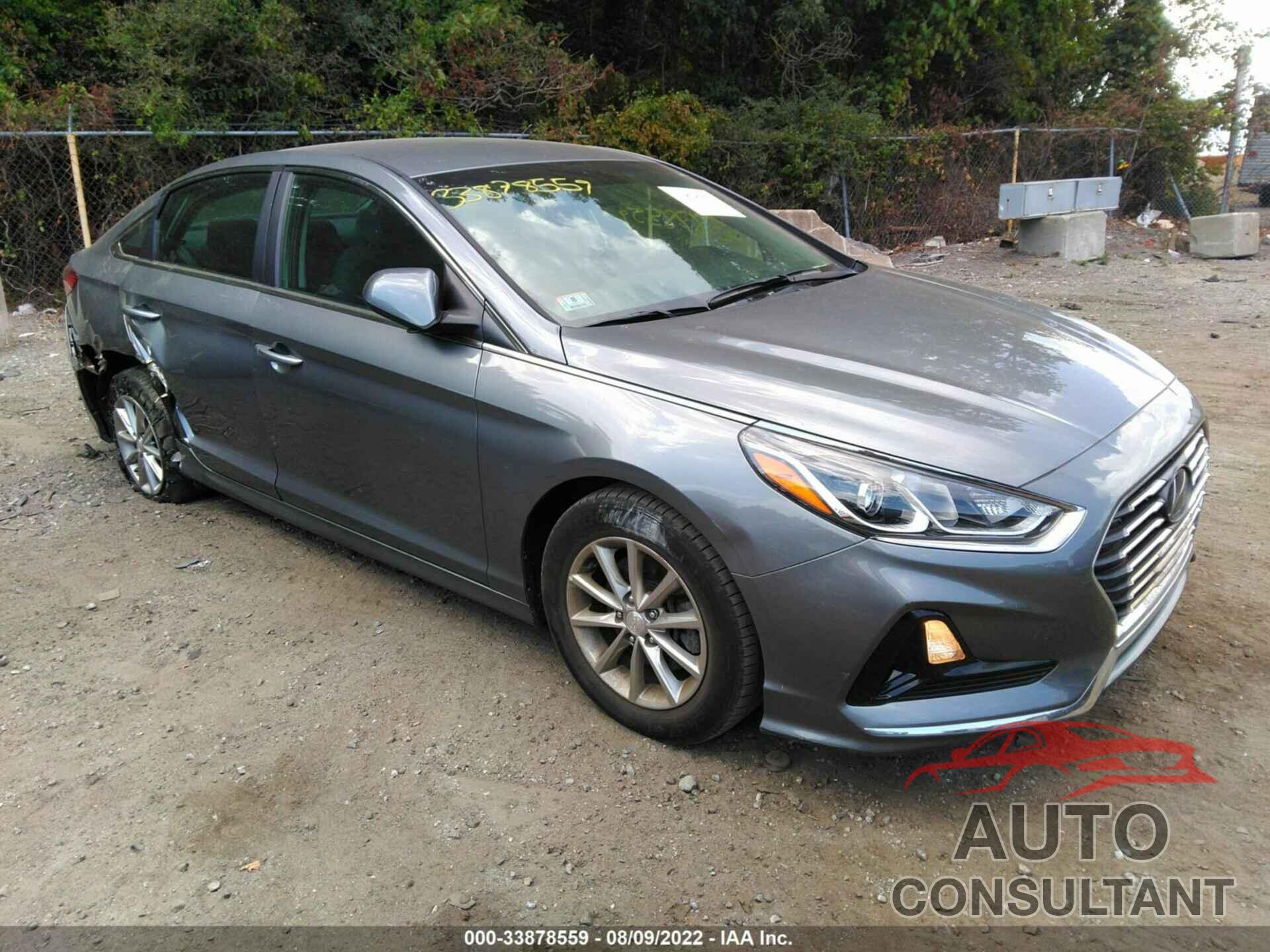 HYUNDAI SONATA 2019 - 5NPE24AF0KH765404