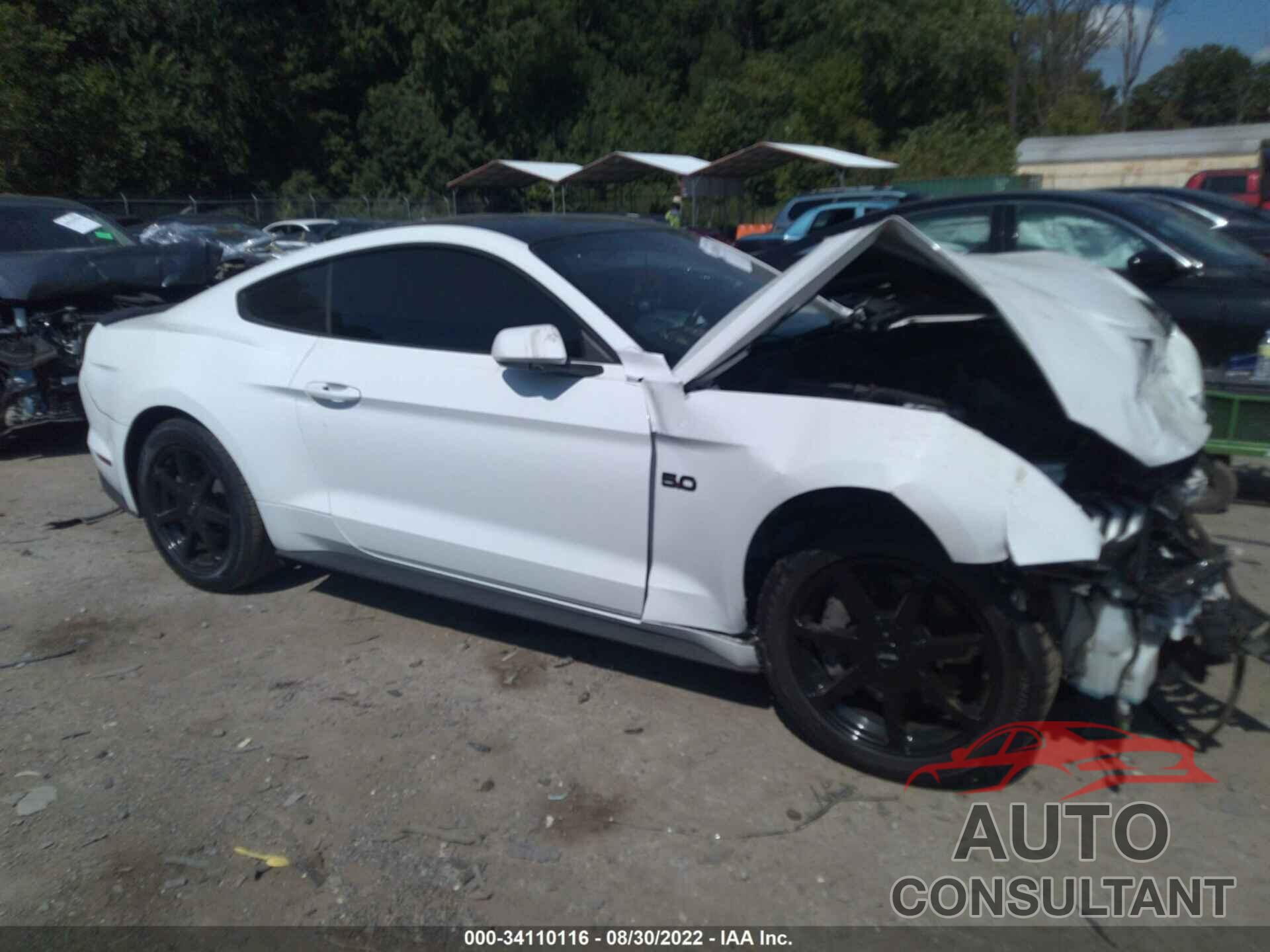 FORD MUSTANG 2019 - 1FA6P8CFXK5111428