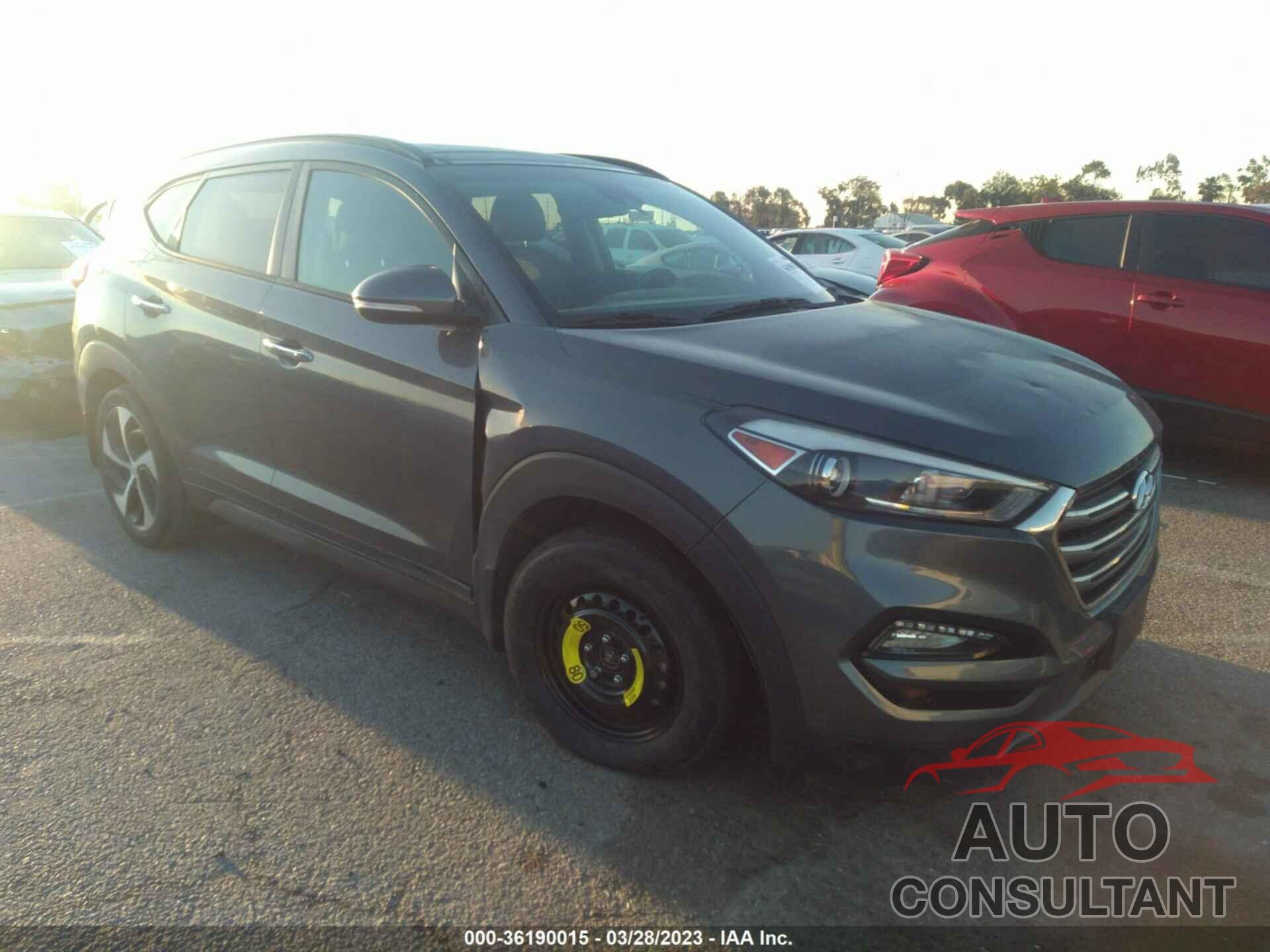 HYUNDAI TUCSON 2016 - KM8J33A24GU163746