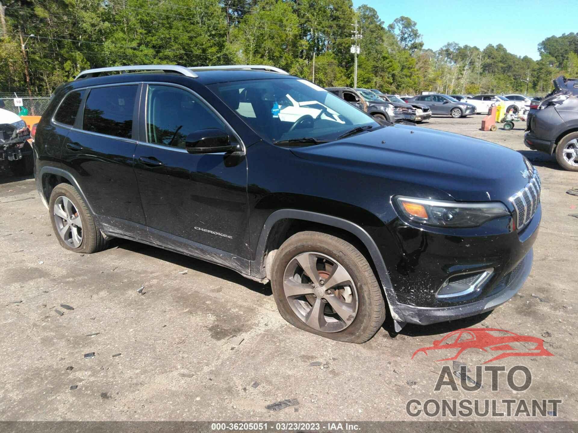 JEEP CHEROKEE 2019 - 1C4PJMDX2KD414645