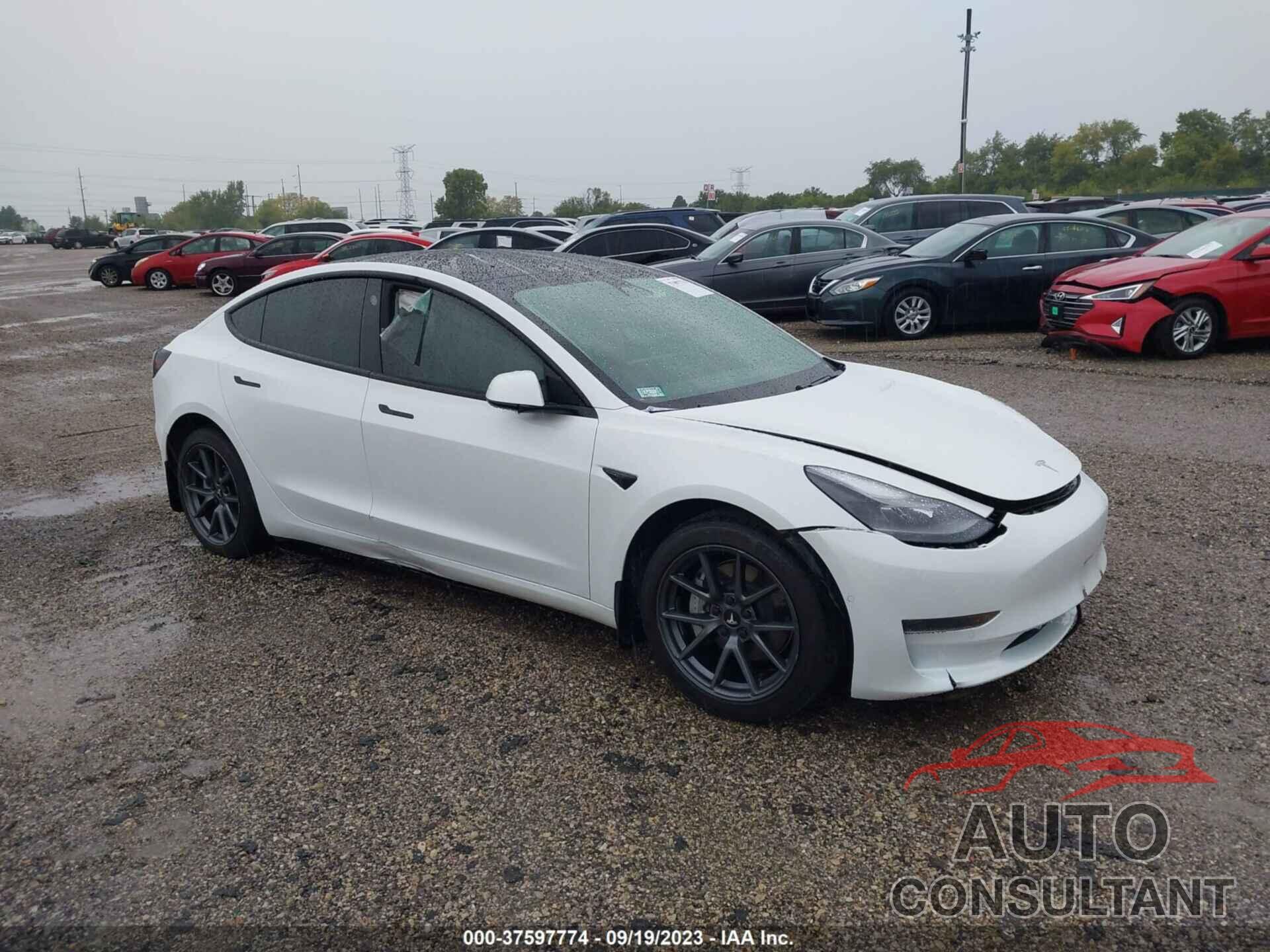 TESLA MODEL 3 2021 - 5YJ3E1EA3MF915213