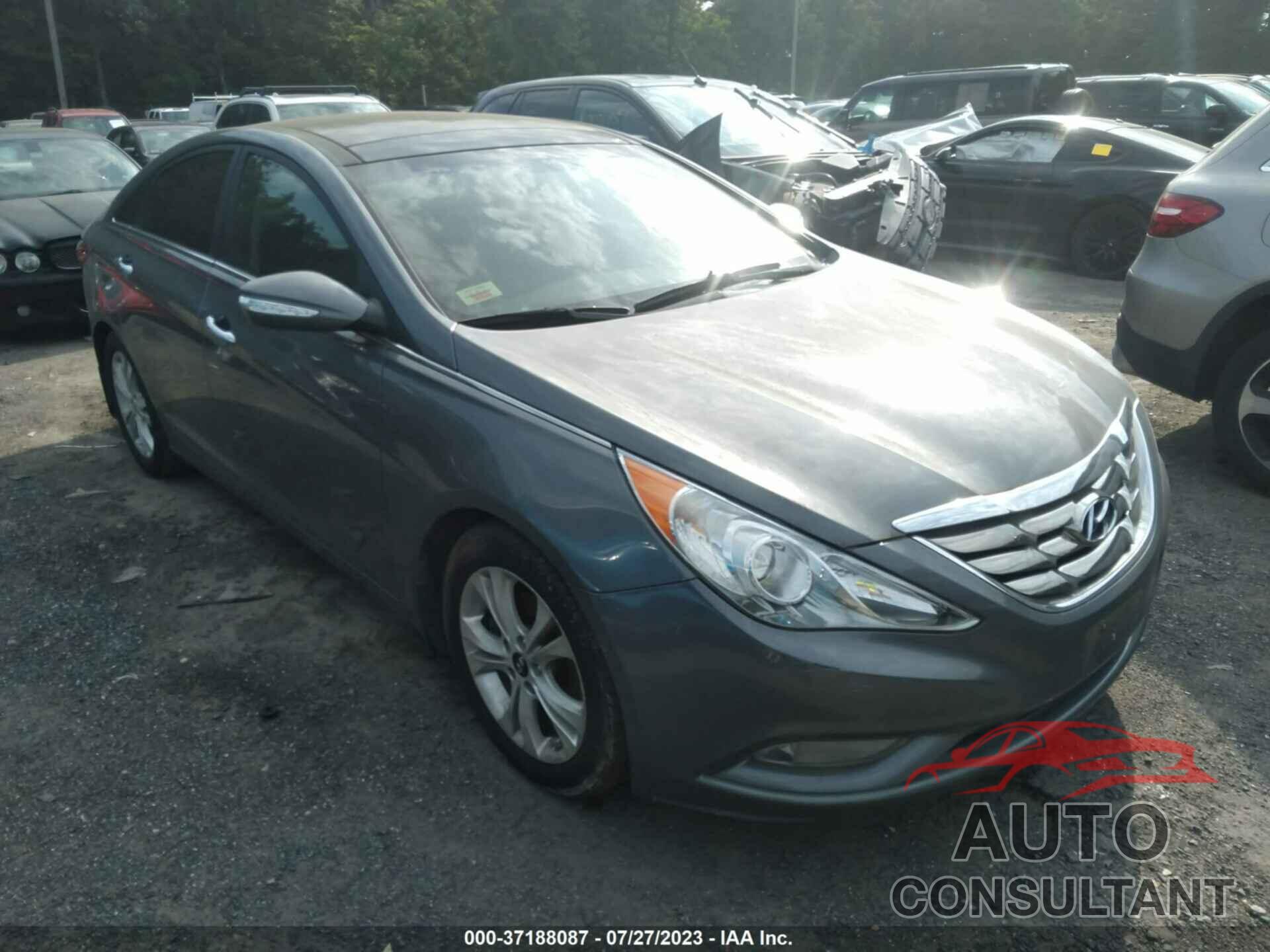 HYUNDAI SONATA 2013 - 5NPEC4AC4DH541123