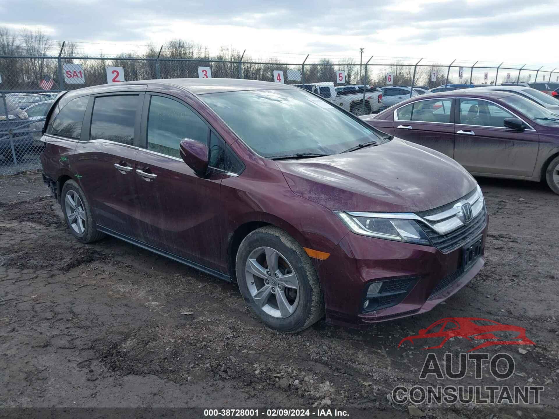 HONDA ODYSSEY 2019 - 5FNRL6H77KB075284