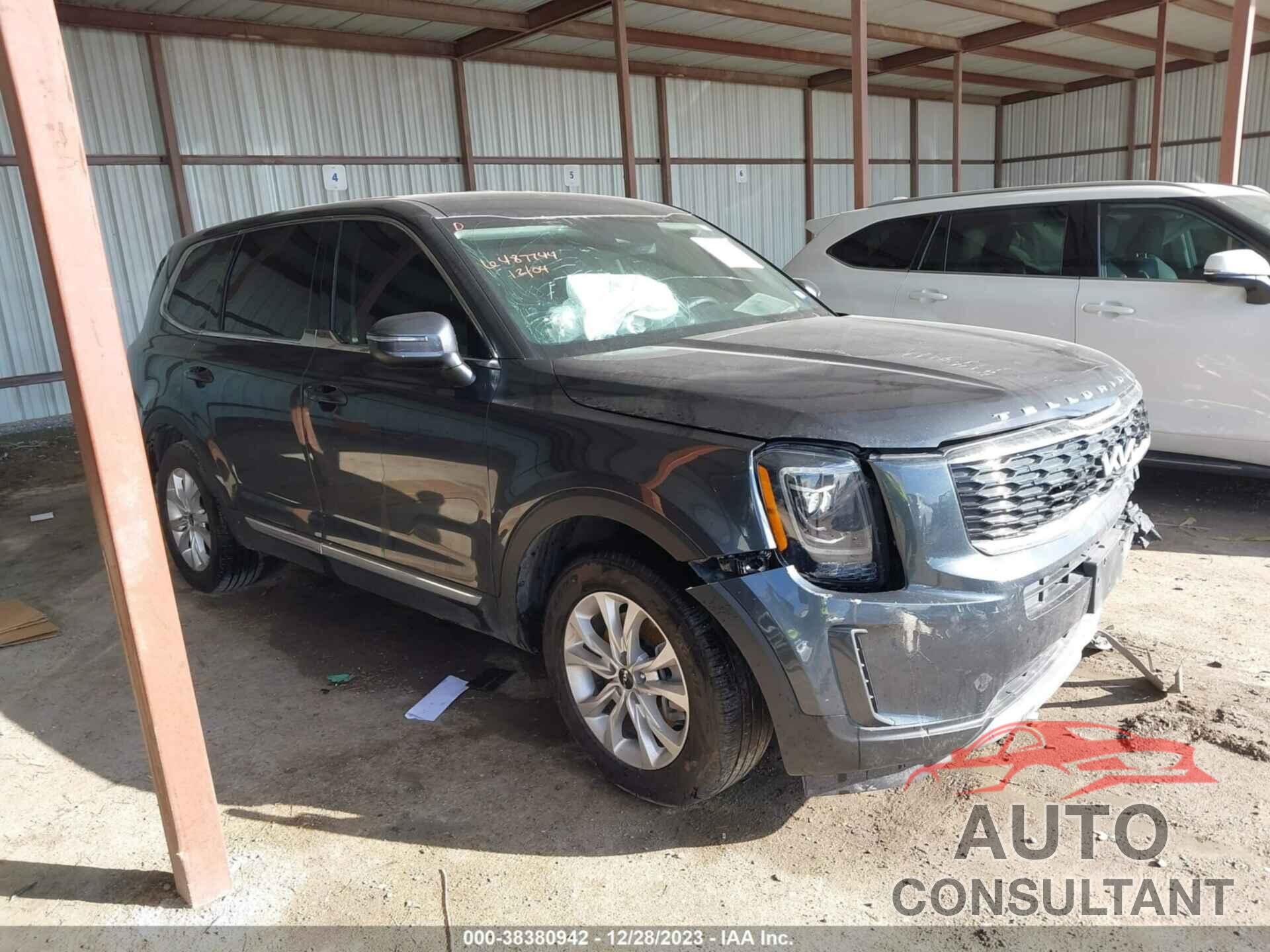 KIA TELLURIDE 2022 - 5XYP24HC8NG290357