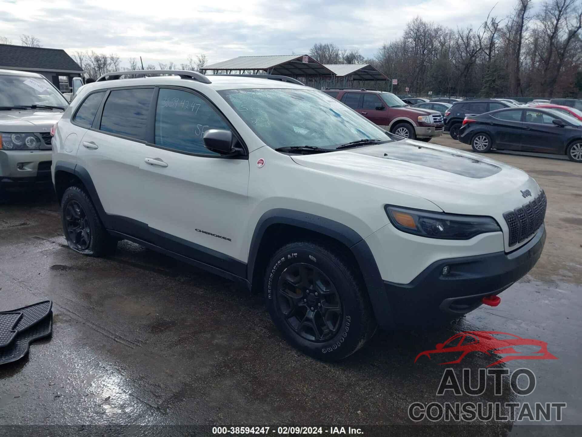 JEEP CHEROKEE 2019 - 1C4PJMBX6KD410049