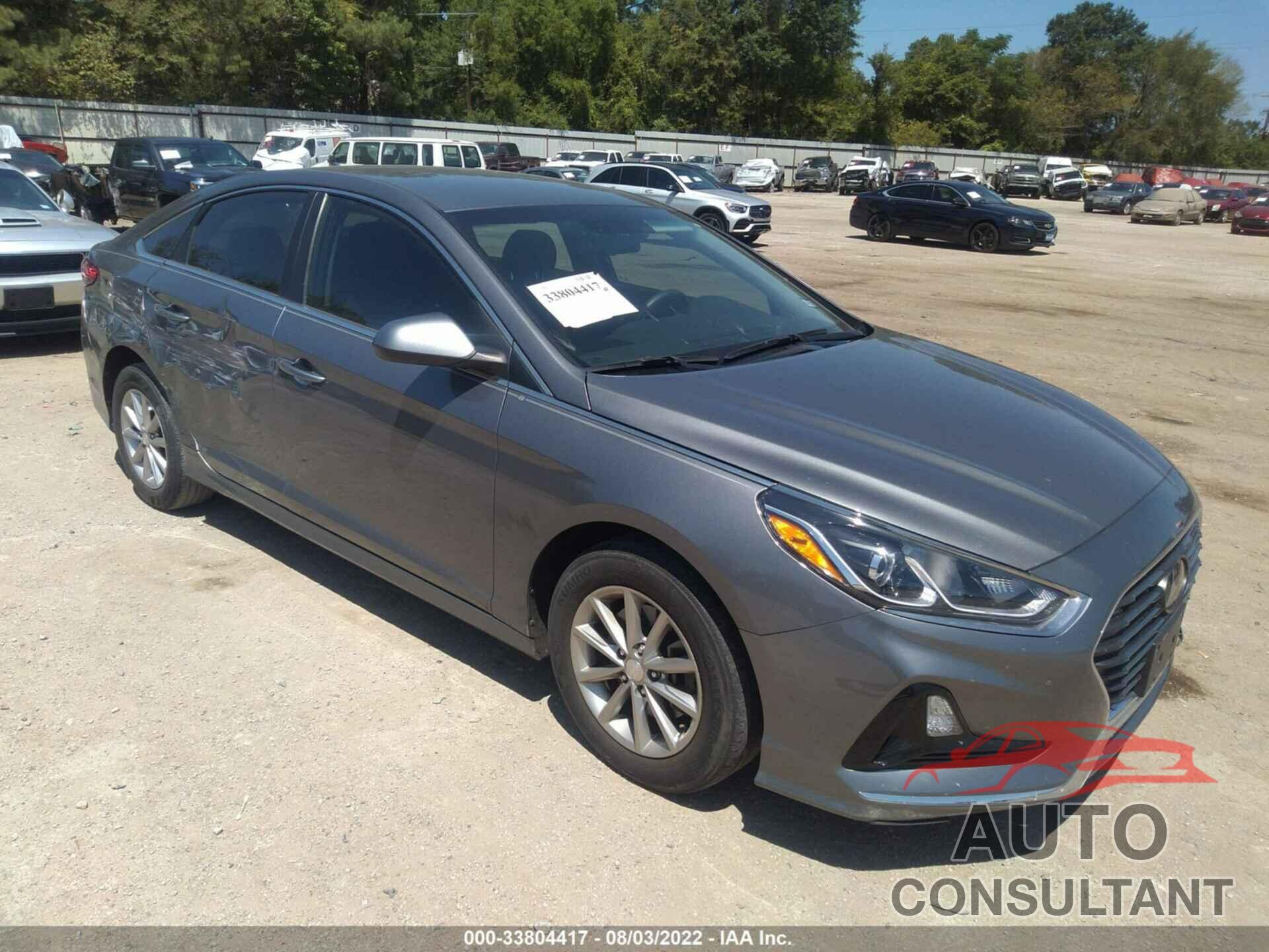HYUNDAI SONATA 2019 - 5NPE24AF6KH755802