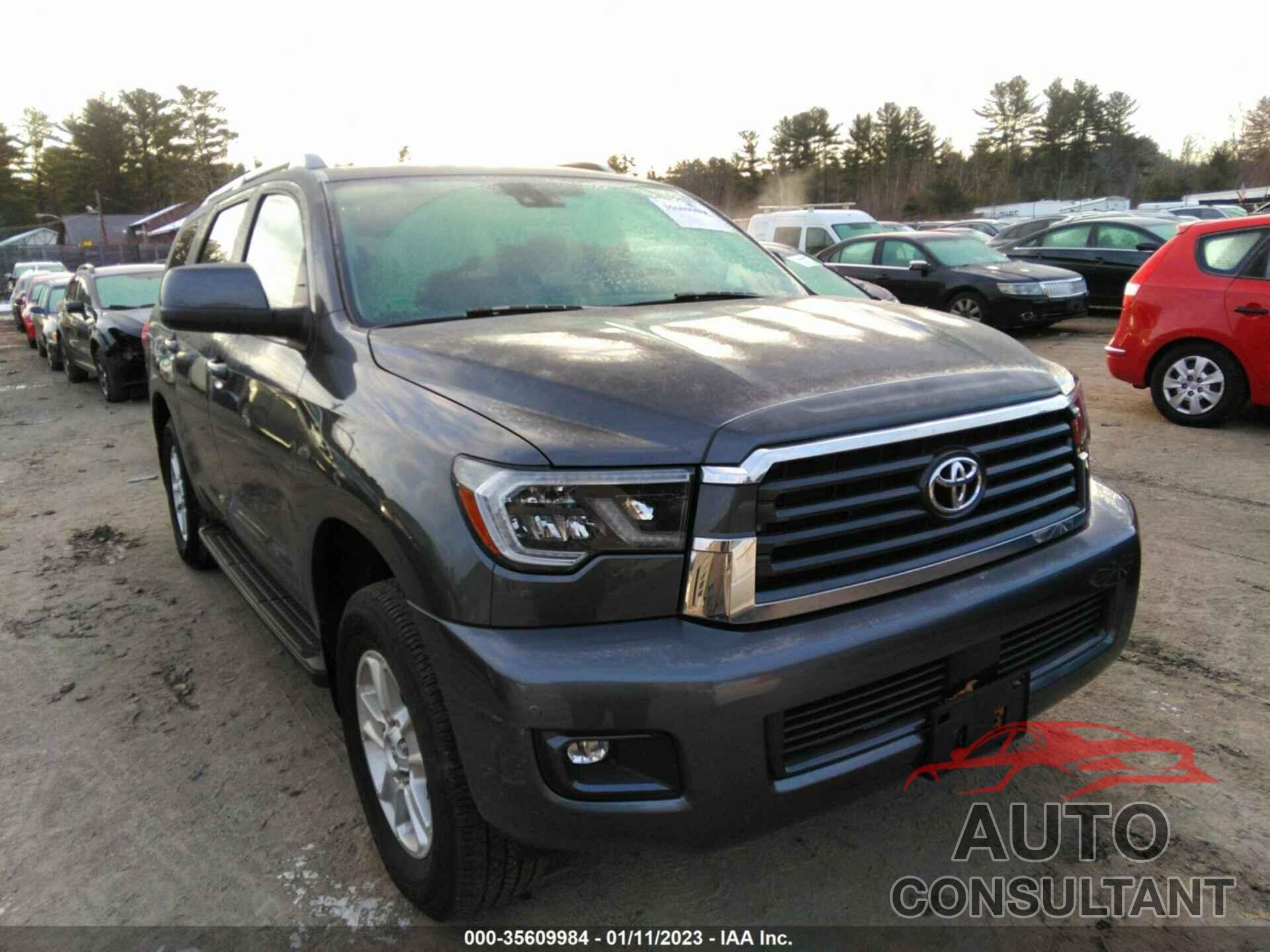 TOYOTA SEQUOIA 2021 - 5TDAY5B13MS187074
