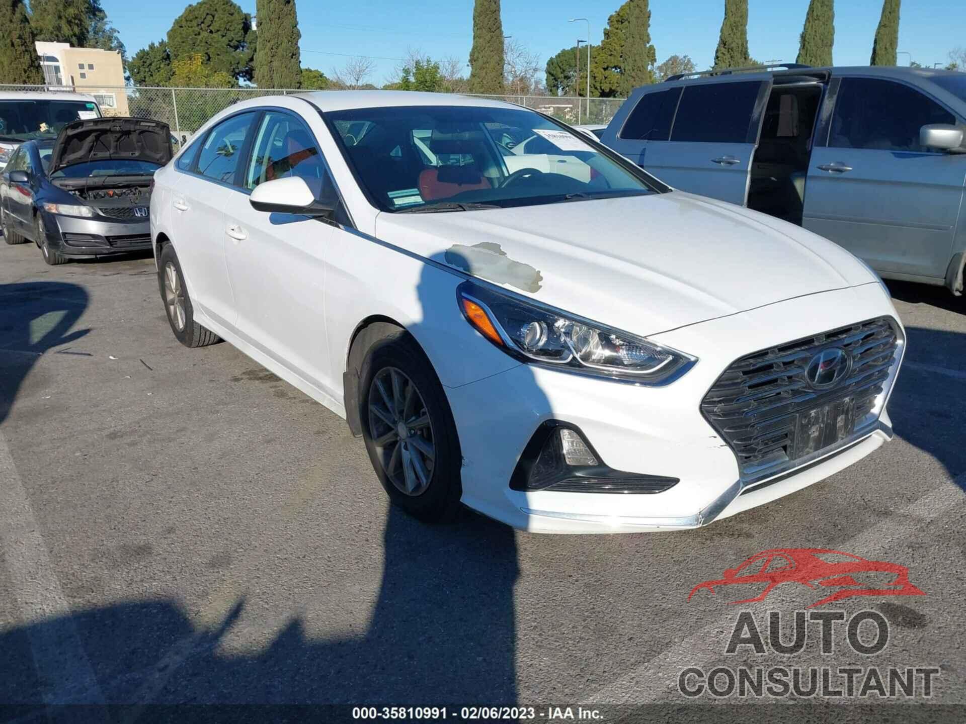HYUNDAI SONATA 2019 - 5NPE24AFXKH731339