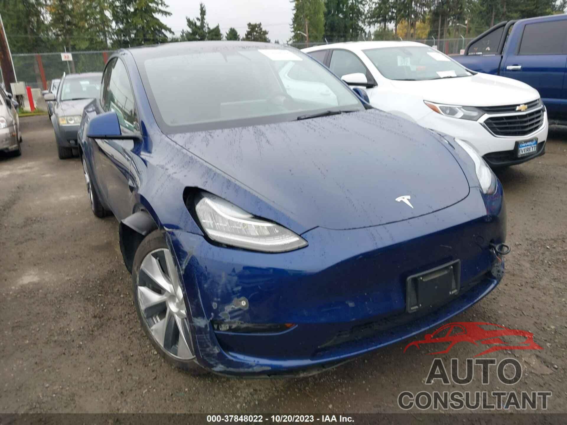 TESLA MODEL Y 2021 - 5YJYGDEE9MF241153