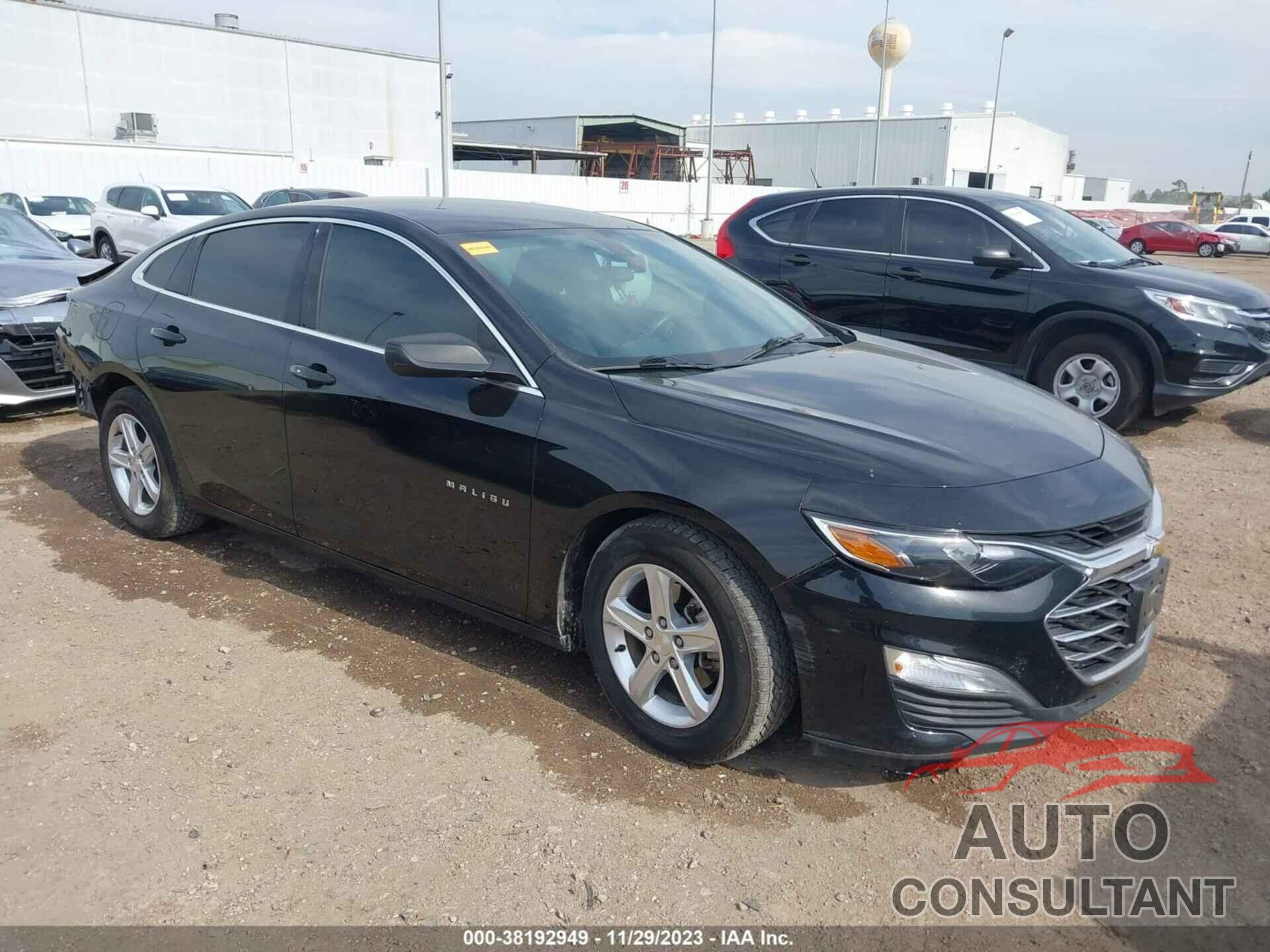 CHEVROLET MALIBU 2019 - 1G1ZB5ST5KF206008