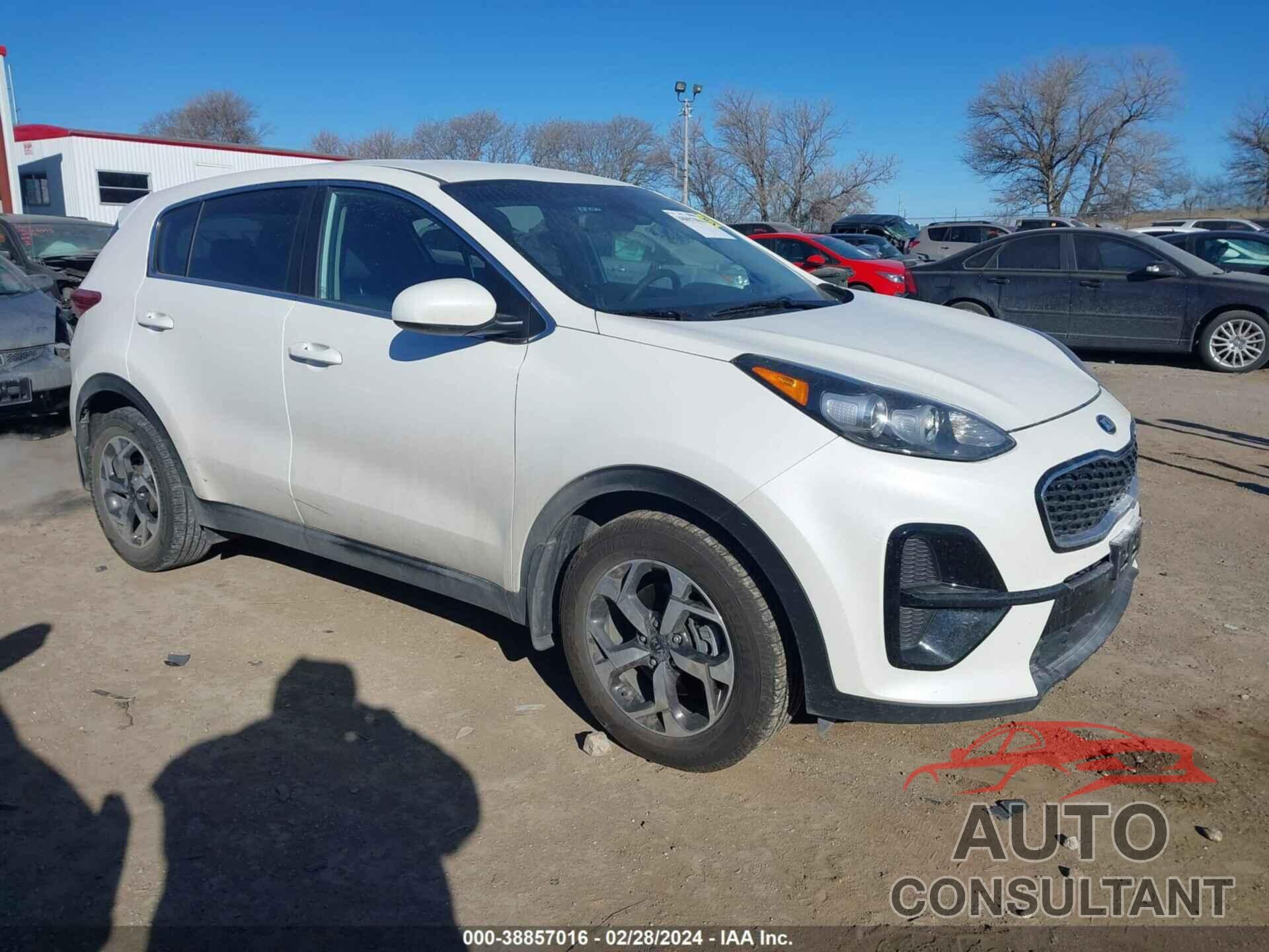 KIA SPORTAGE 2022 - KNDPM3AC2N7979709