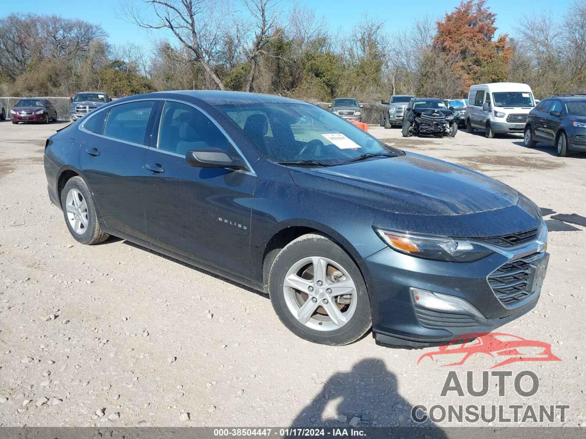 CHEVROLET MALIBU 2019 - 1G1ZC5ST7KF207836