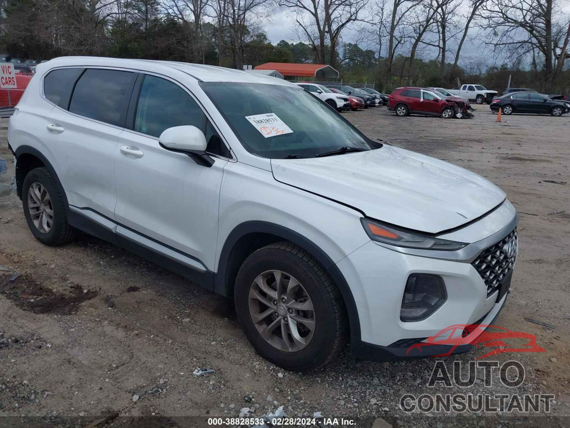 HYUNDAI SANTA FE 2019 - 5NMS2CAD2KH021067